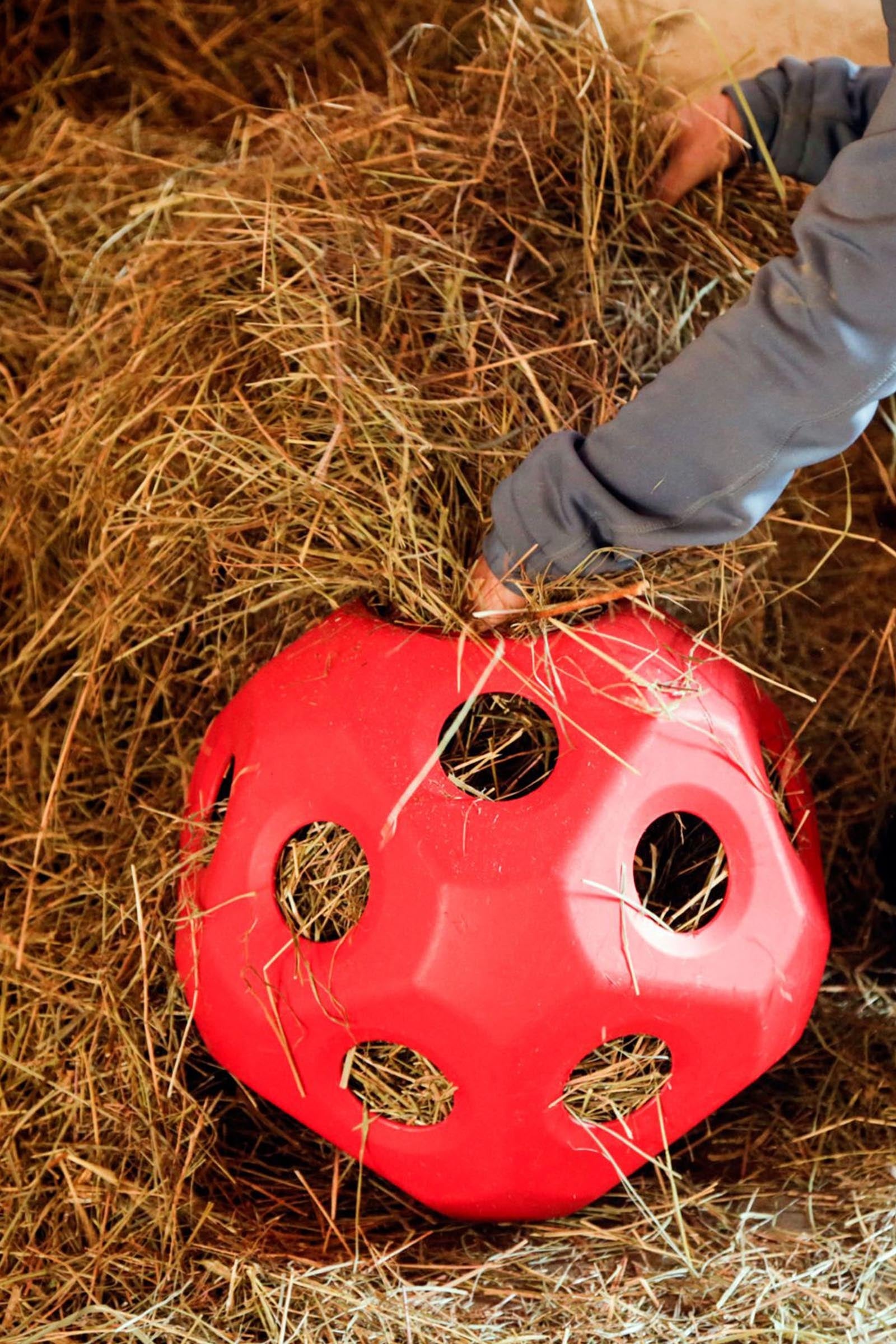 Kerbl Feed Play Ball (For 3kg Hay) Horse Feeders & Waterers