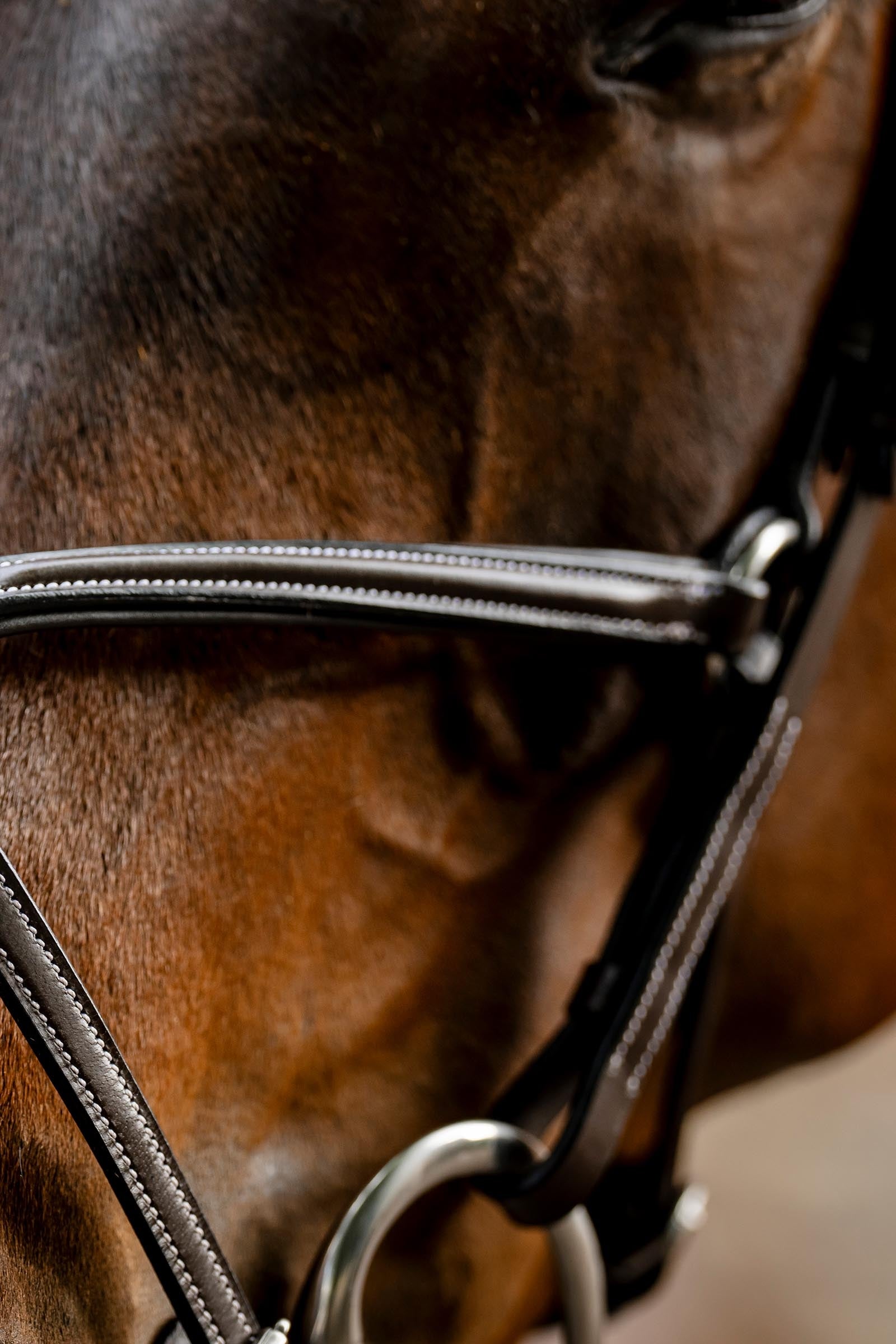 Horseware Figure 8 Grackle Bridle Bridles & Reins