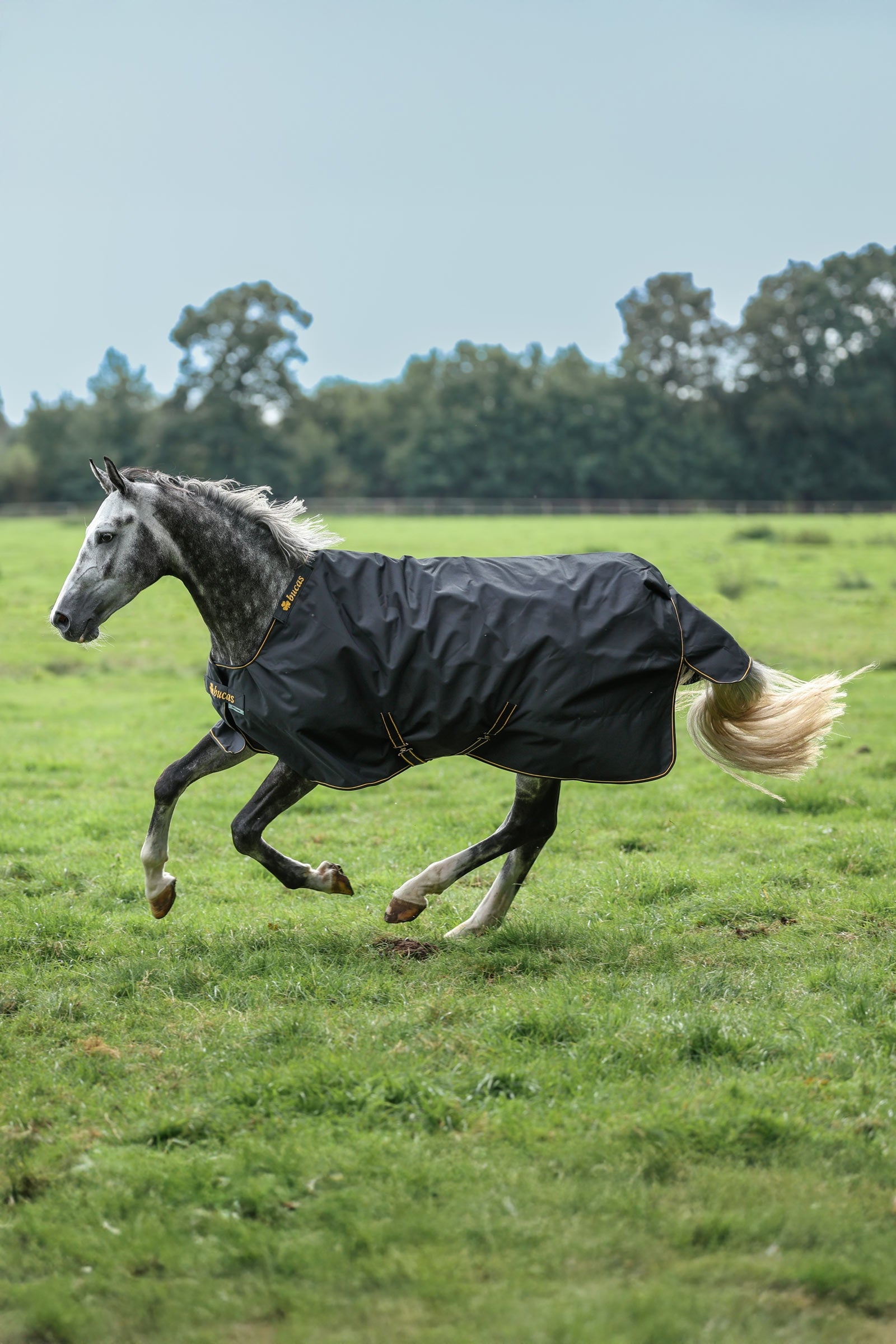 Bucas Irish Turnout Rug, 100 g Horse Rugs
