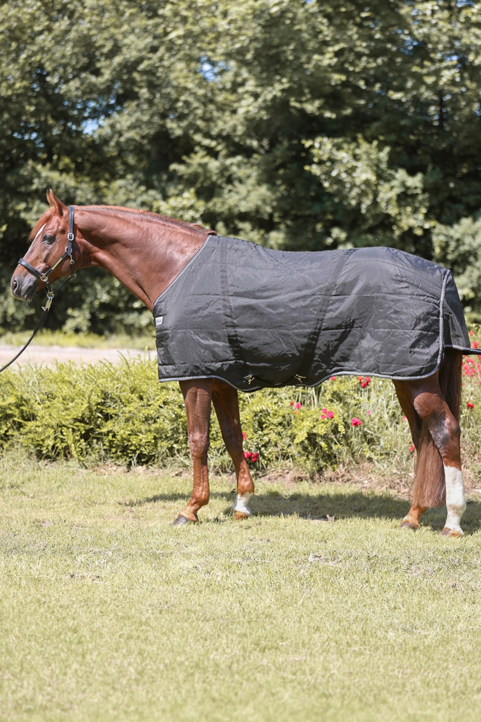 Kavalkade Stallion Rug, 400 g Horse Rugs