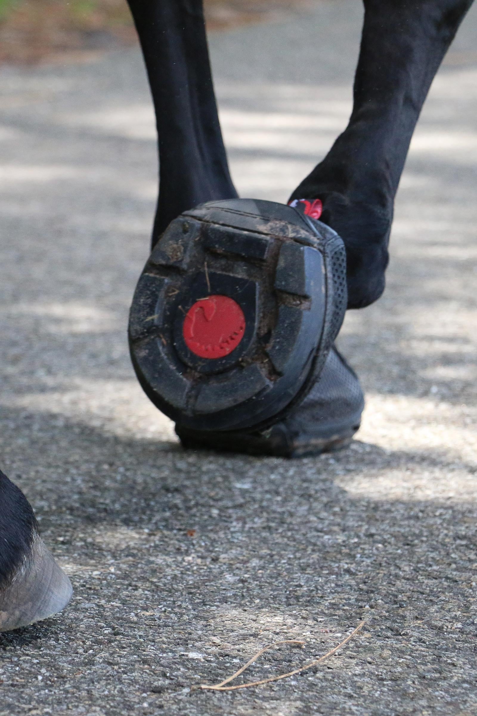 Cavallo Hoof Boots F.R.A. Trek SRS Hoof Shoe (regular/pair) Leg Protection & Hoof Protection for Horses