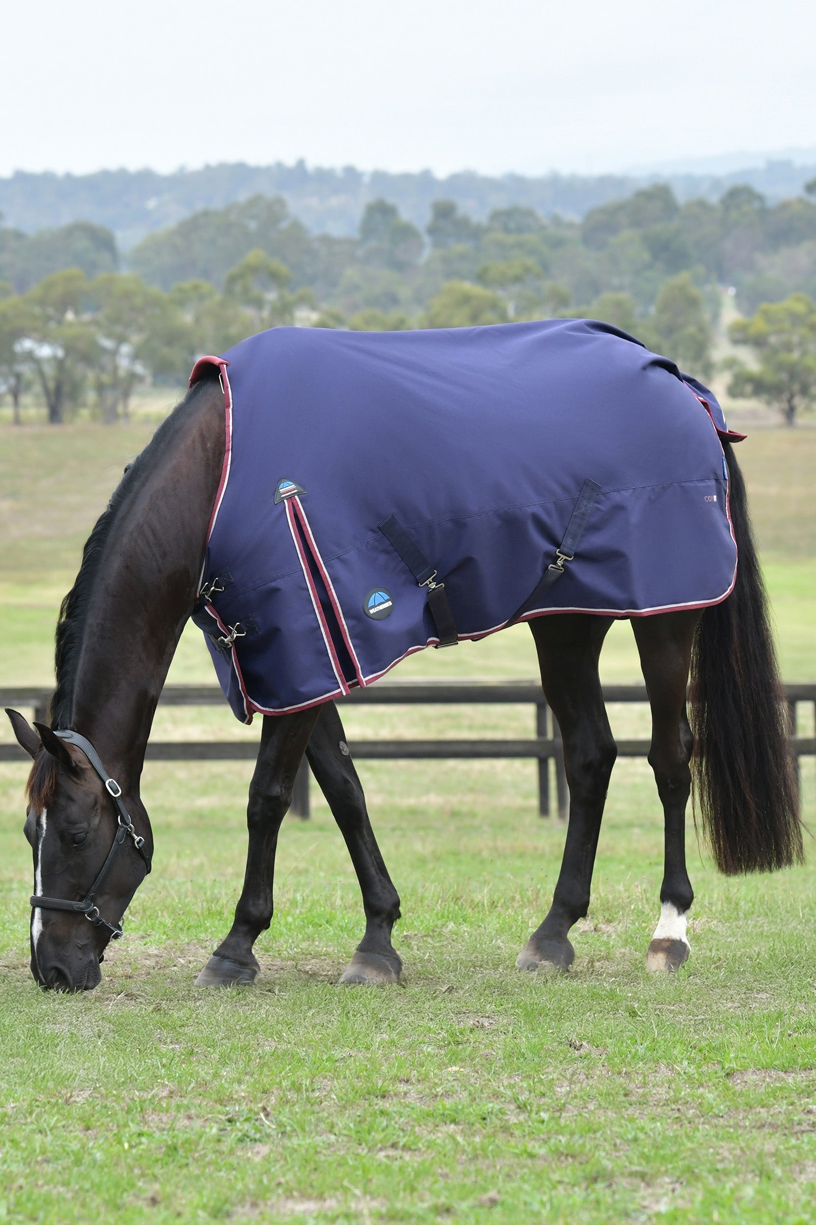 Weatherbeeta ComFiTec Essential Turnout Rug, 0 g Horse Rugs