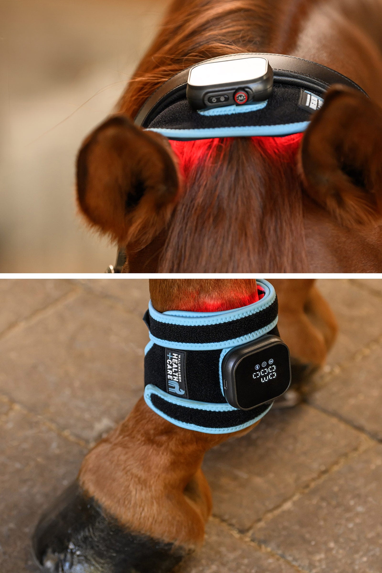 Waldhausen Health + Care Infra-Red FlexPad Leg Protection & Hoof Protection for Horses