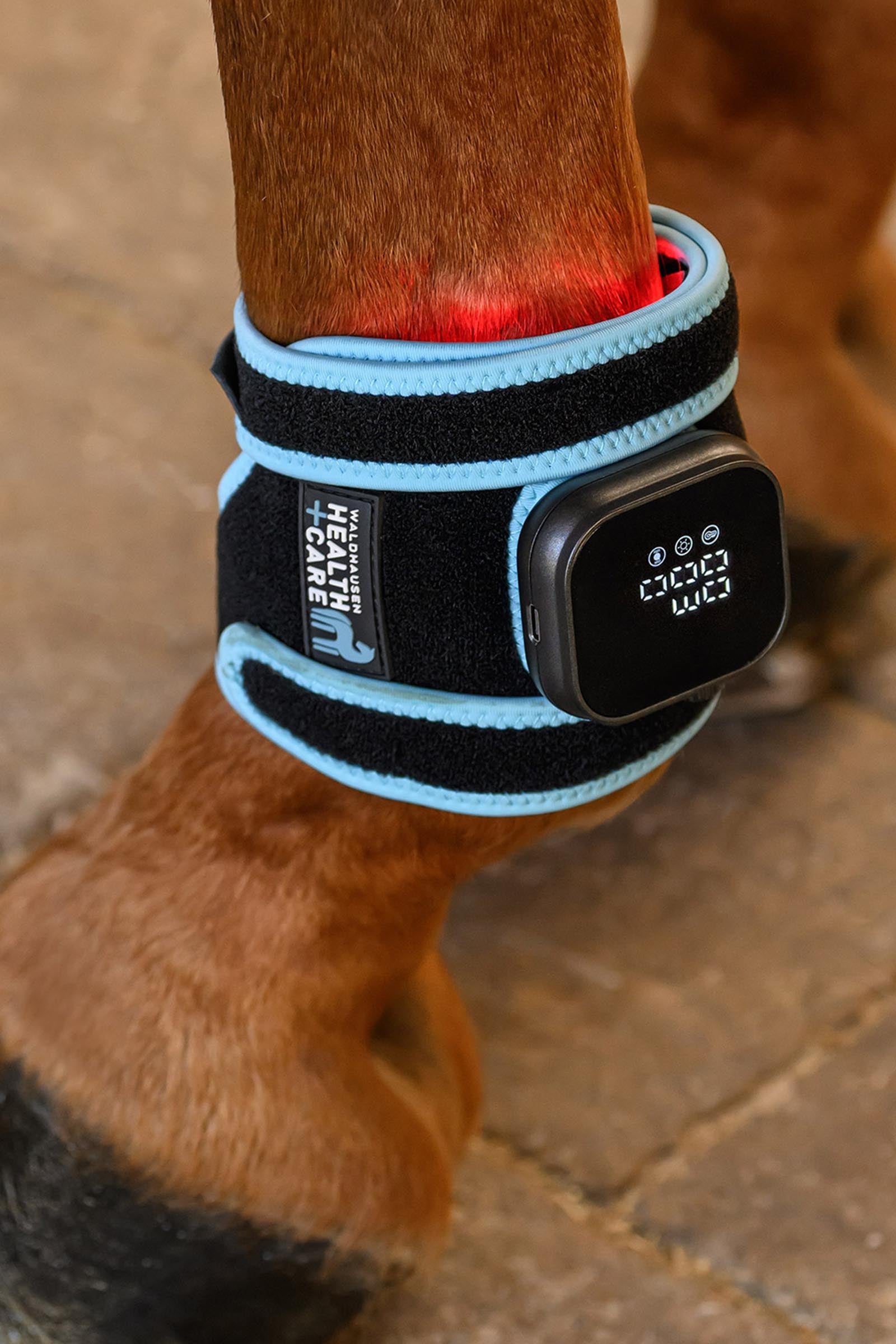 Waldhausen Health + Care Infra-Red FlexPad Leg Protection & Hoof Protection for Horses