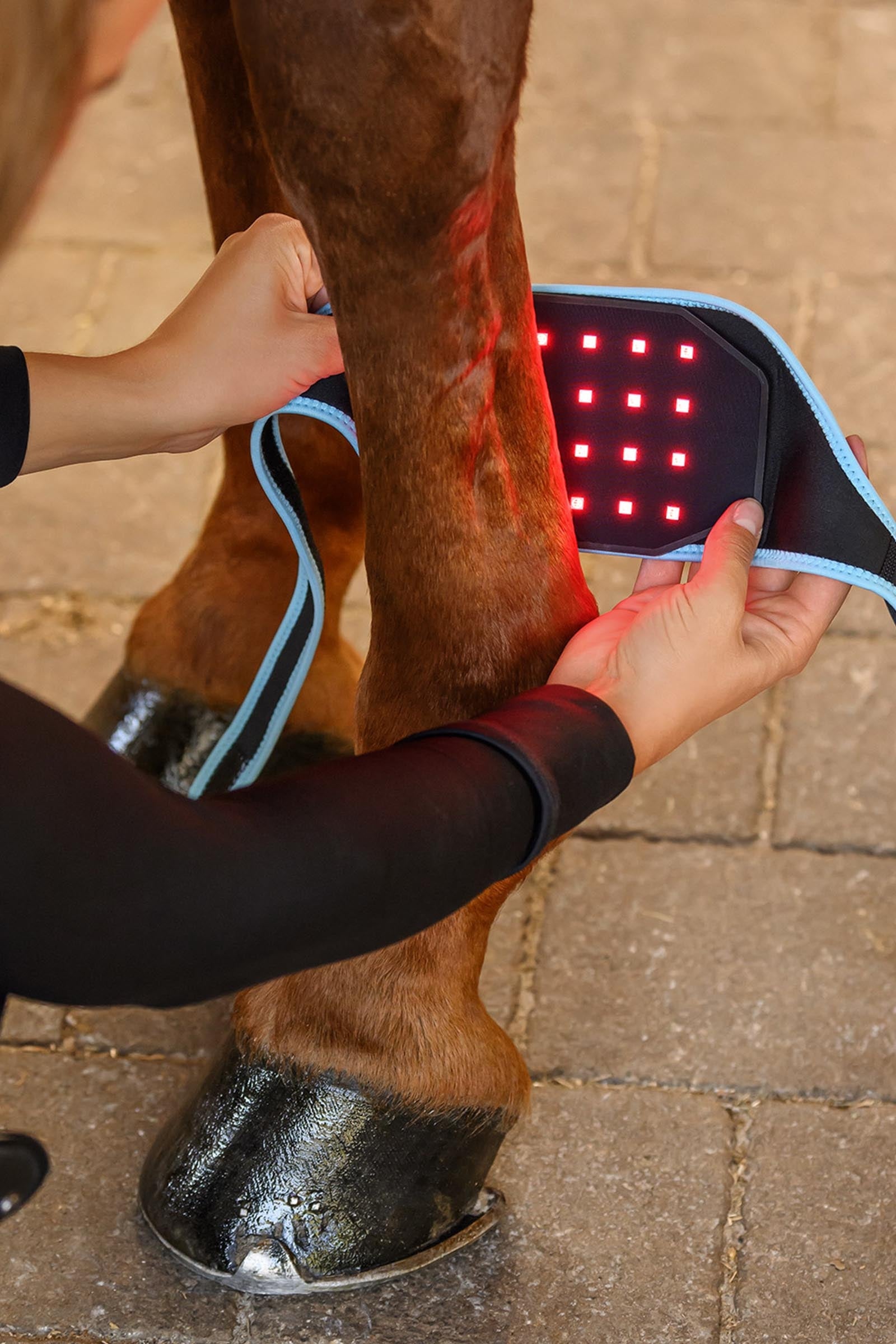 Waldhausen Health + Care Infra-Red FlexPad Leg Protection & Hoof Protection for Horses