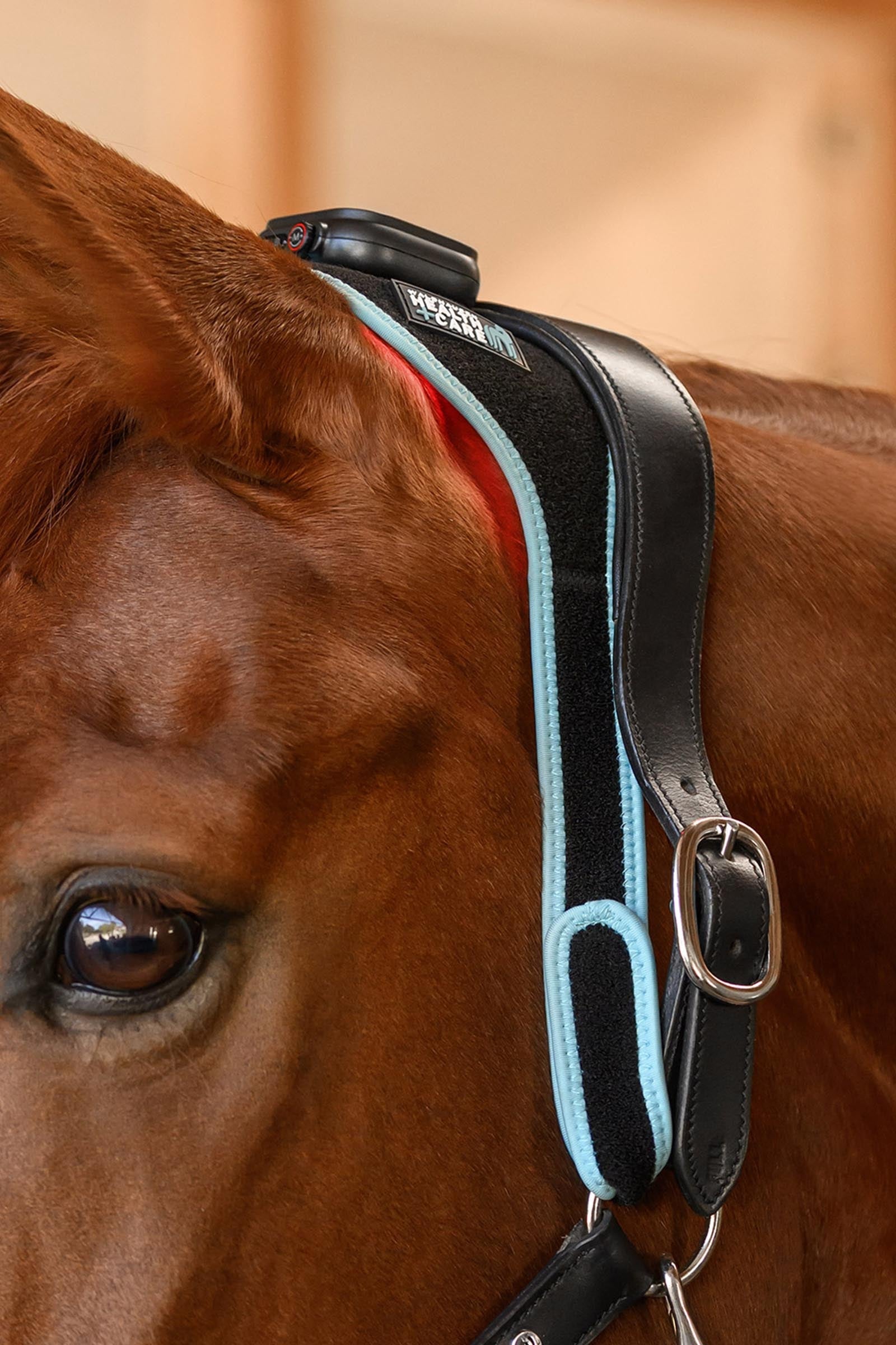 Waldhausen Health + Care Infra-Red FlexPad Leg Protection & Hoof Protection for Horses