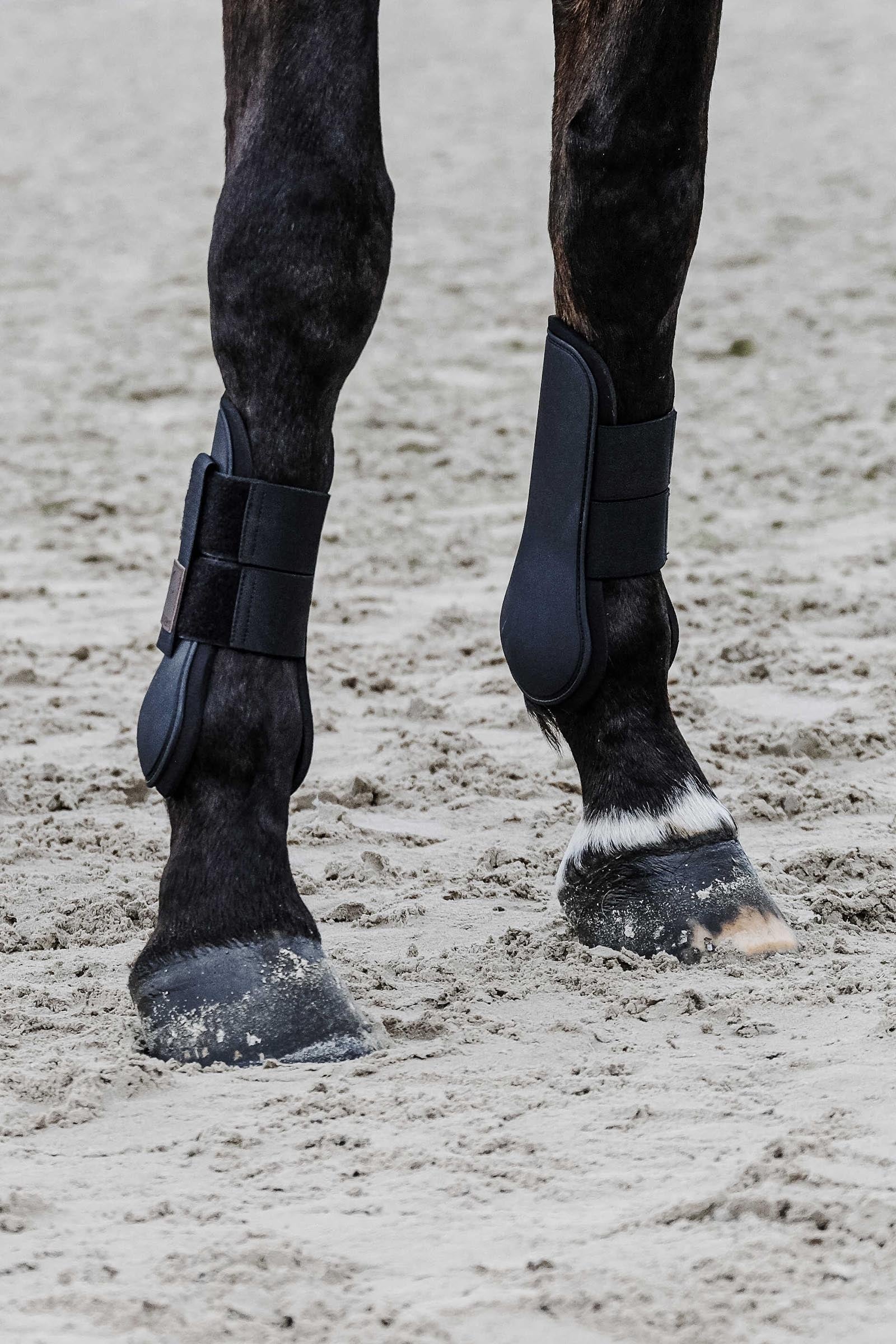 EQUITHÈME Tara Tendon Boots Leg & Hoof Protection