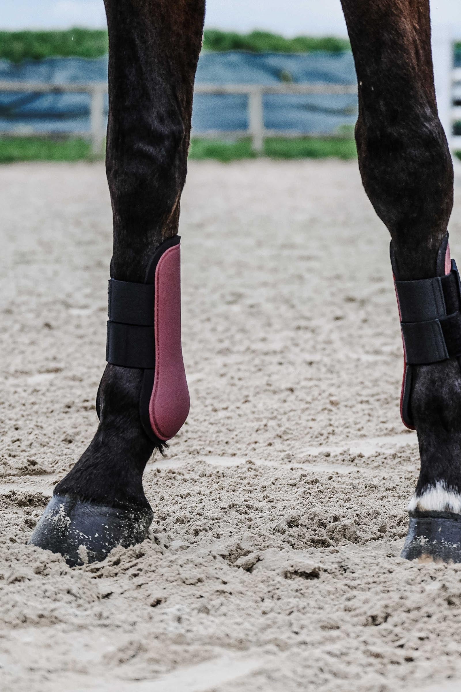EQUITHÈME Tara Tendon Boots Leg & Hoof Protection