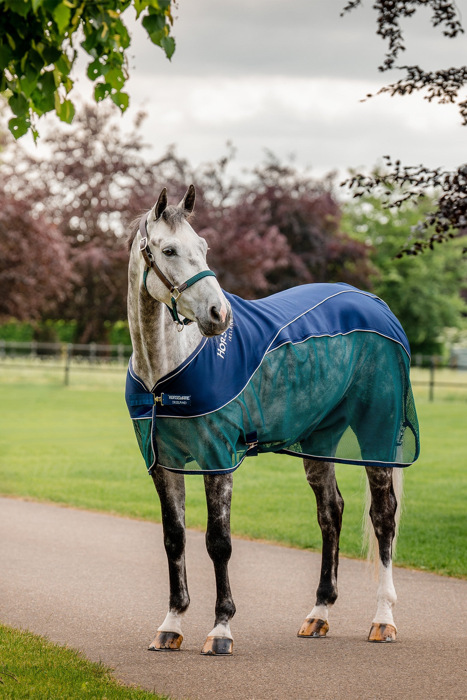 Horseware Signature Sport Felszívó takaró Lótakarók