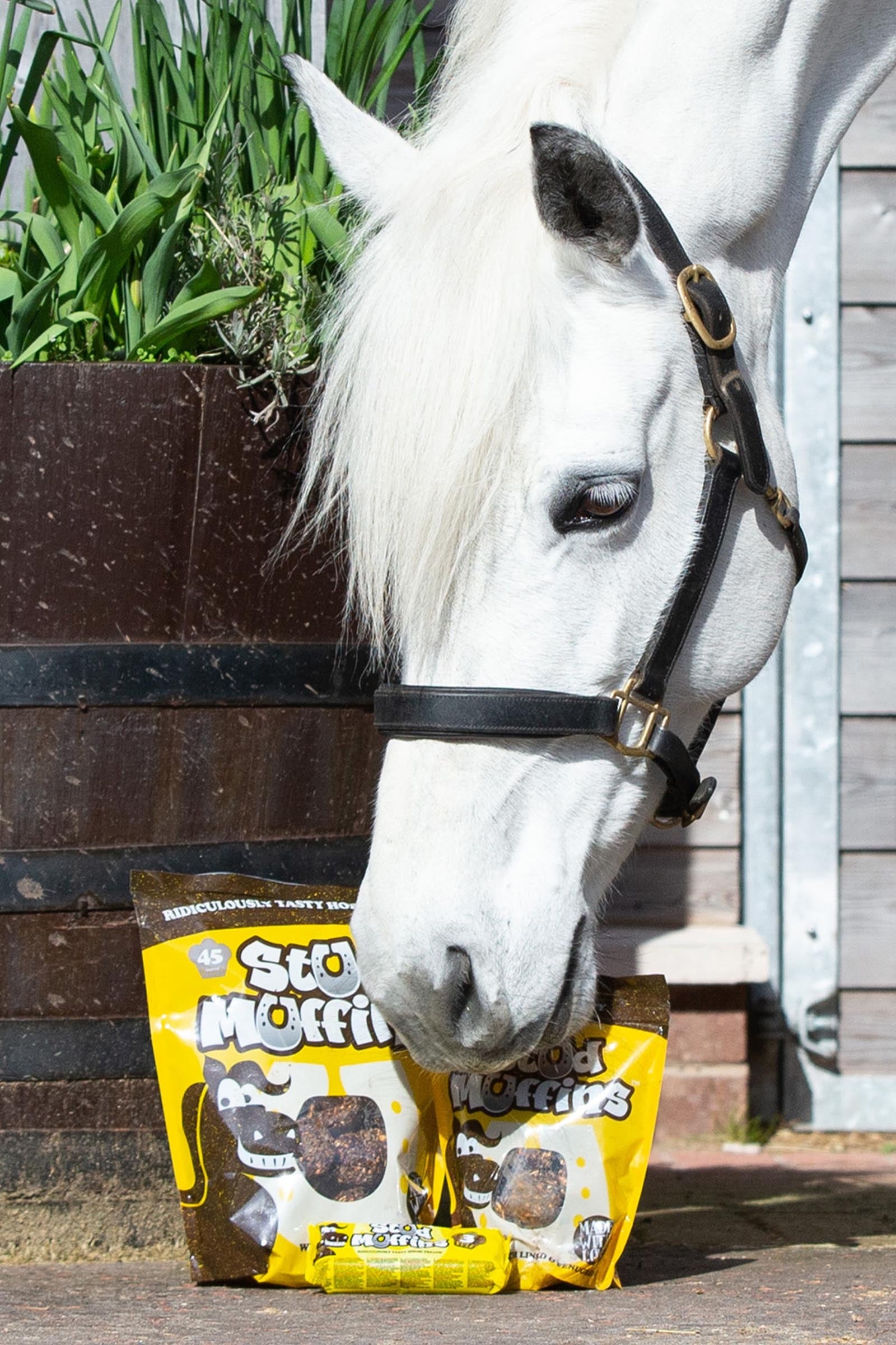 undefined Stud Muffins Stud Muffins, 400 g Horse Feed & Nutrition