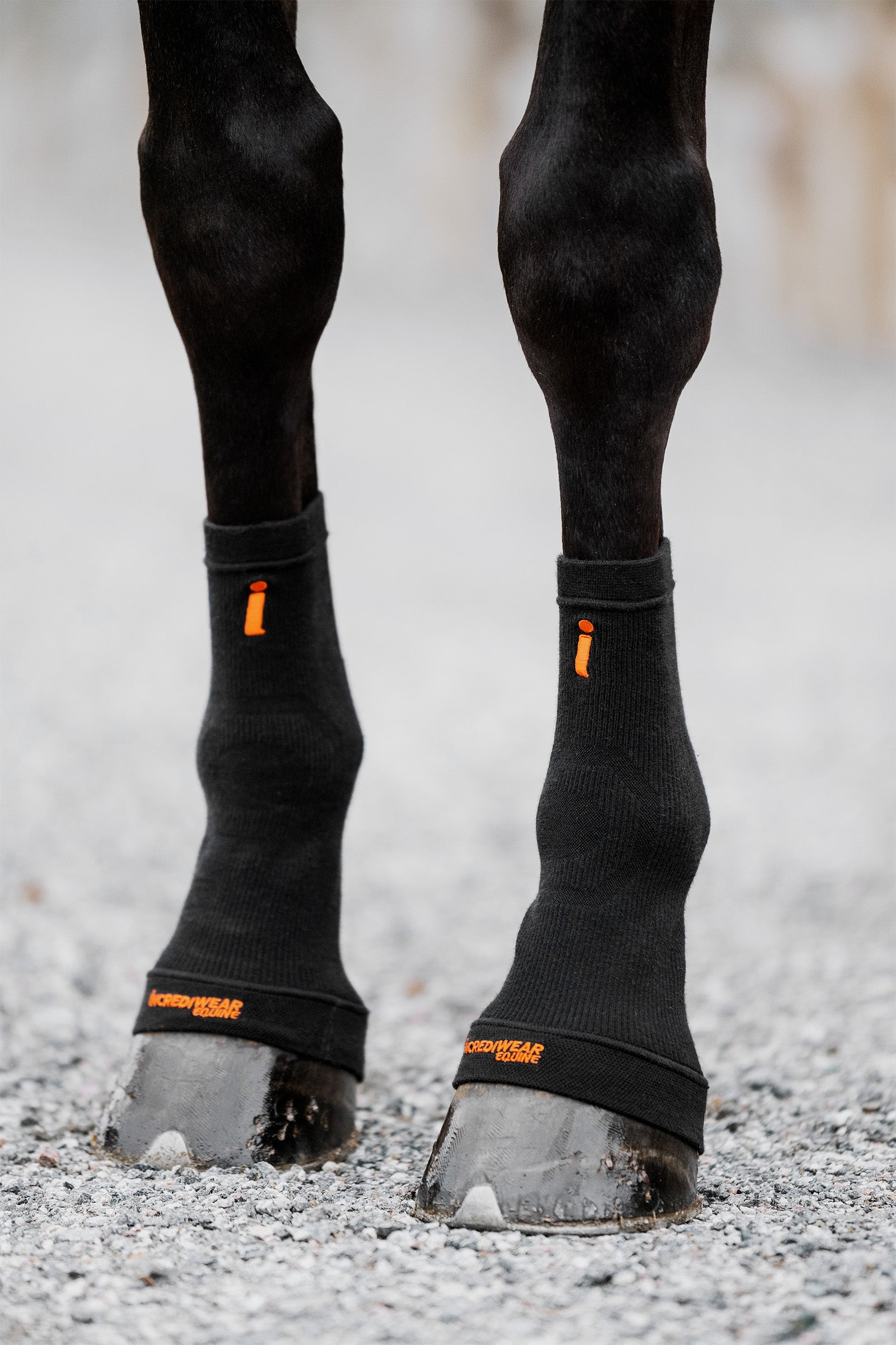 Incrediwear Circulation Patazokni Leg Protection & Hoof Protection for Horses