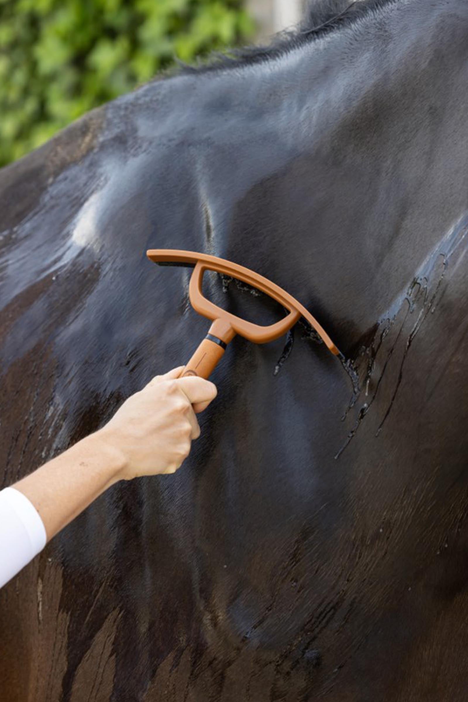 Covalliero Deluxe Sweat Scraper Horse Grooming Tools