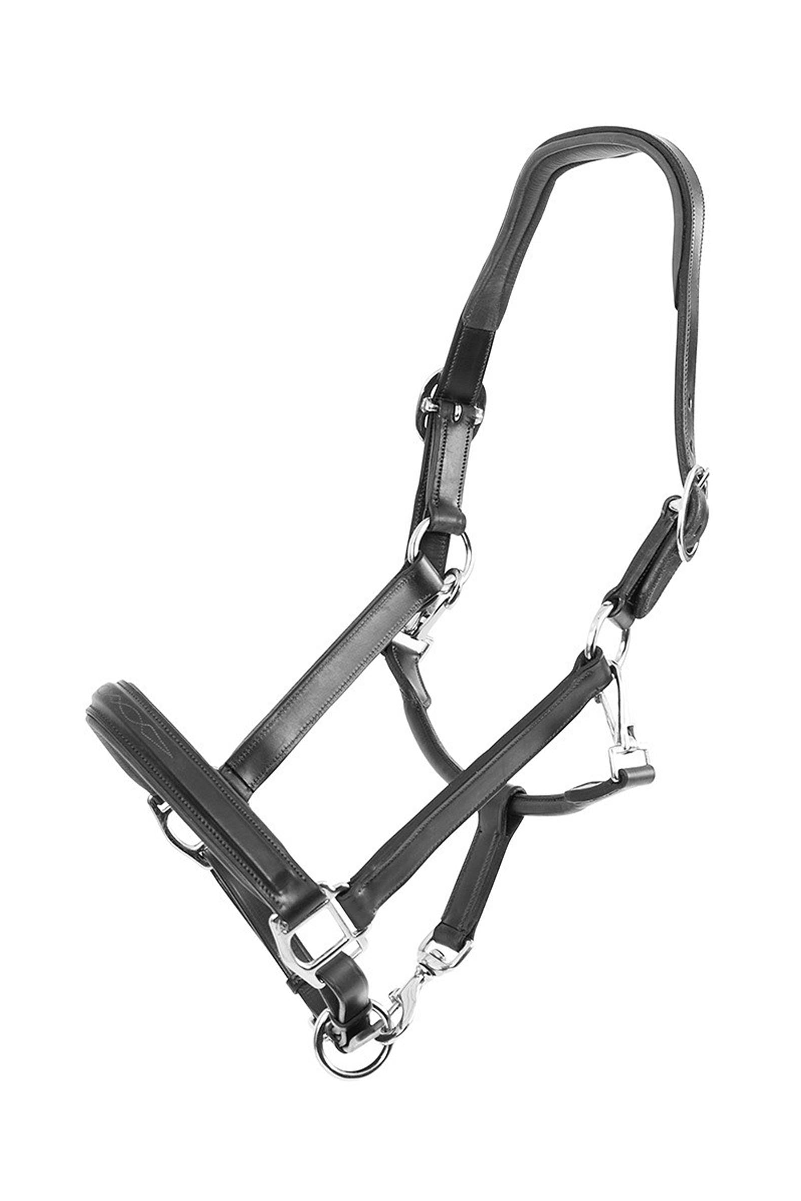 Trust Equestrian Halter San Miguel Kötofékek & Vezetoszárak