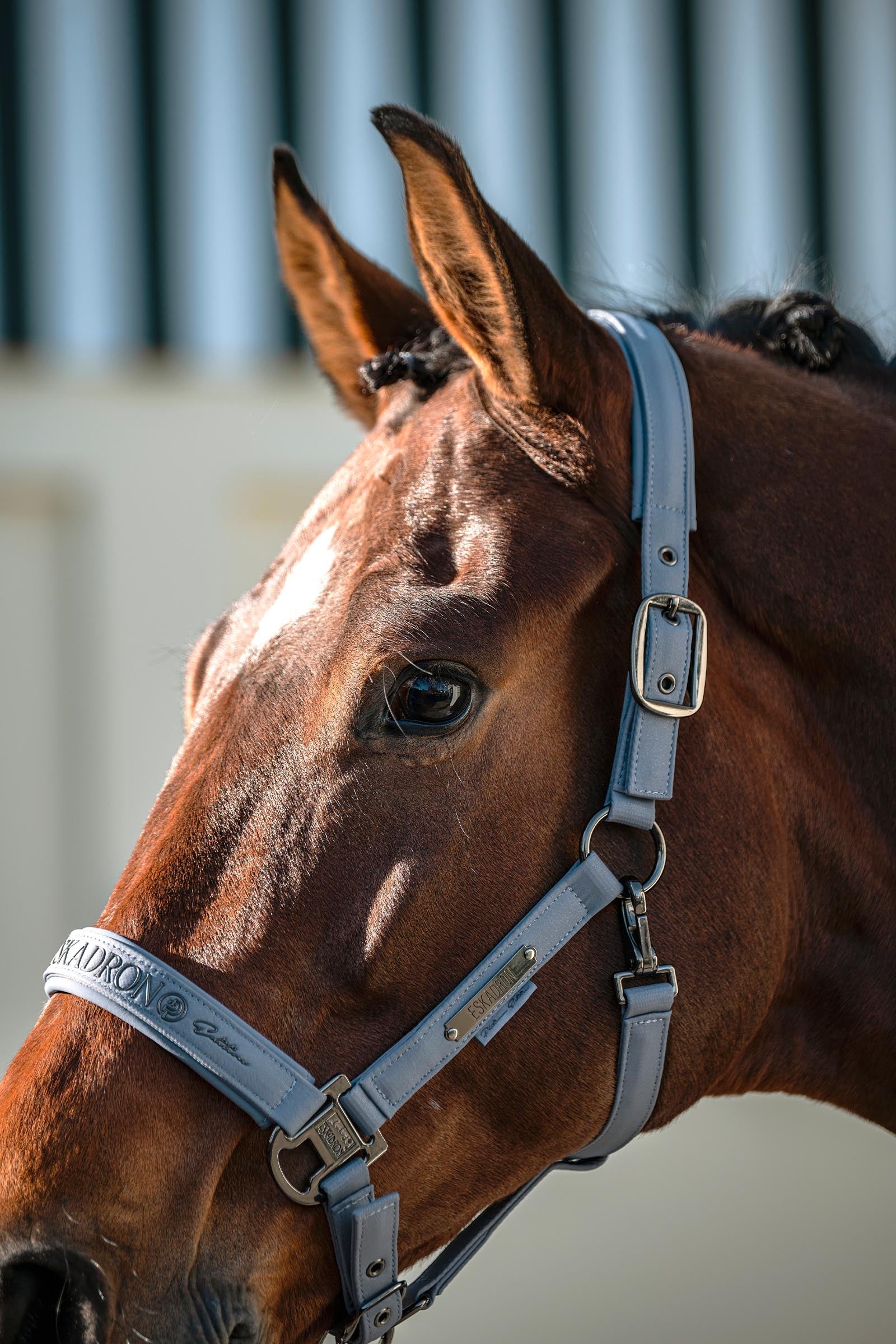 Eskadron Platinum 26 Sparkle Double Pin Headcollar Halters & Leads