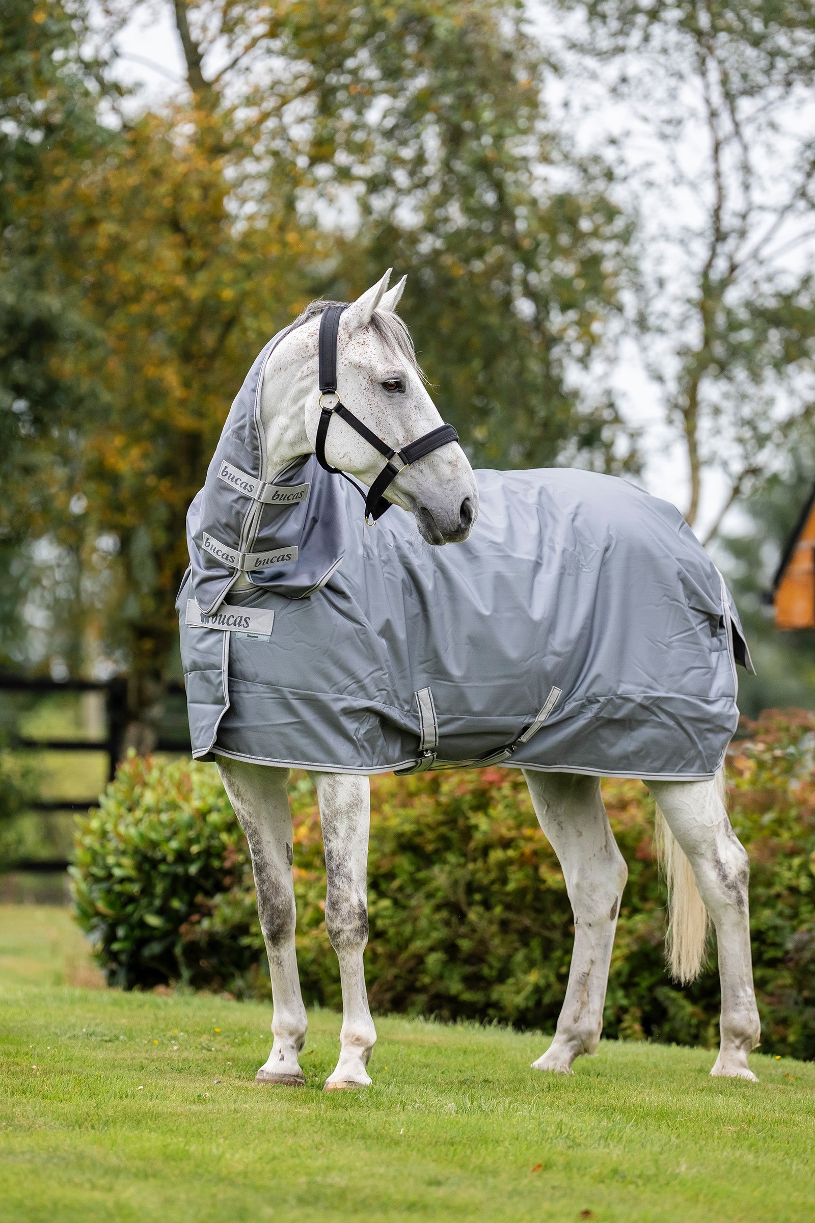 Bucas Smartex Combi Neck 300 Horse Rugs