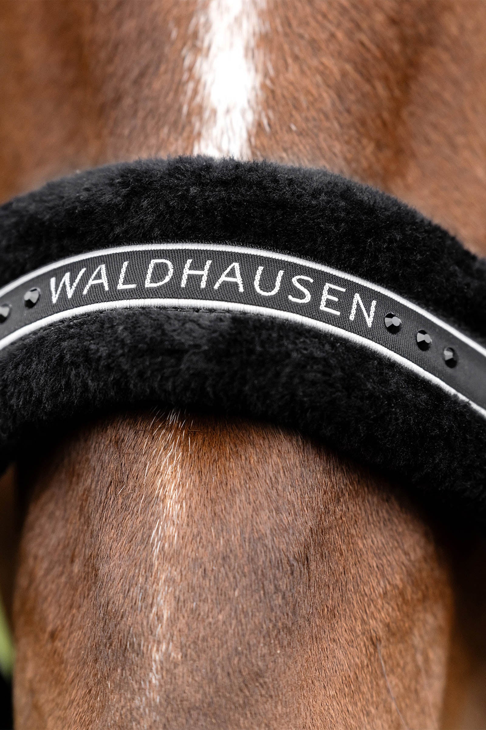 Waldhausen Elegant Halter Halters & Leads