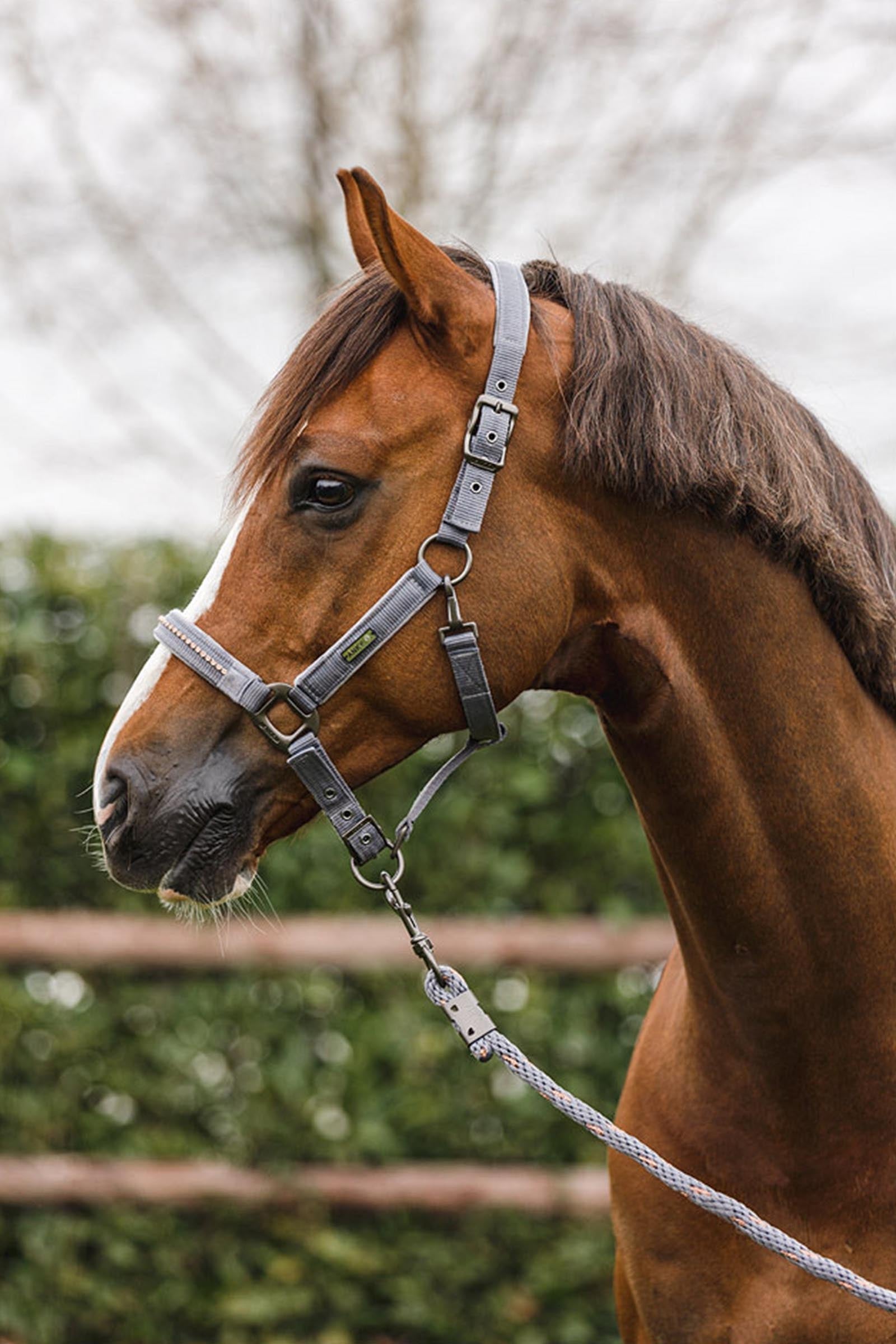 Anky ANKY Stones Halter & Lead Set Halters & Leads