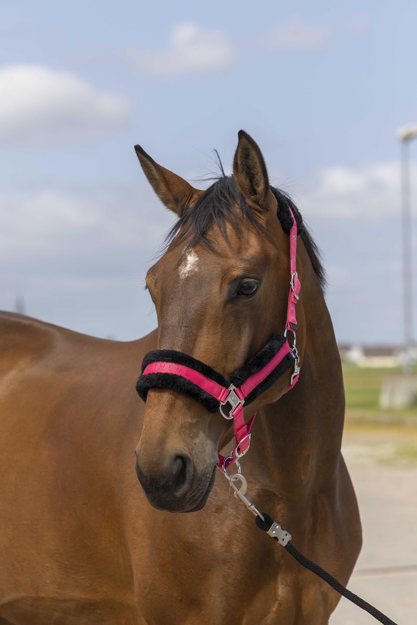 EQUITHÈME Nylon Mouton kötőfék Kötofékek & Vezetoszárak