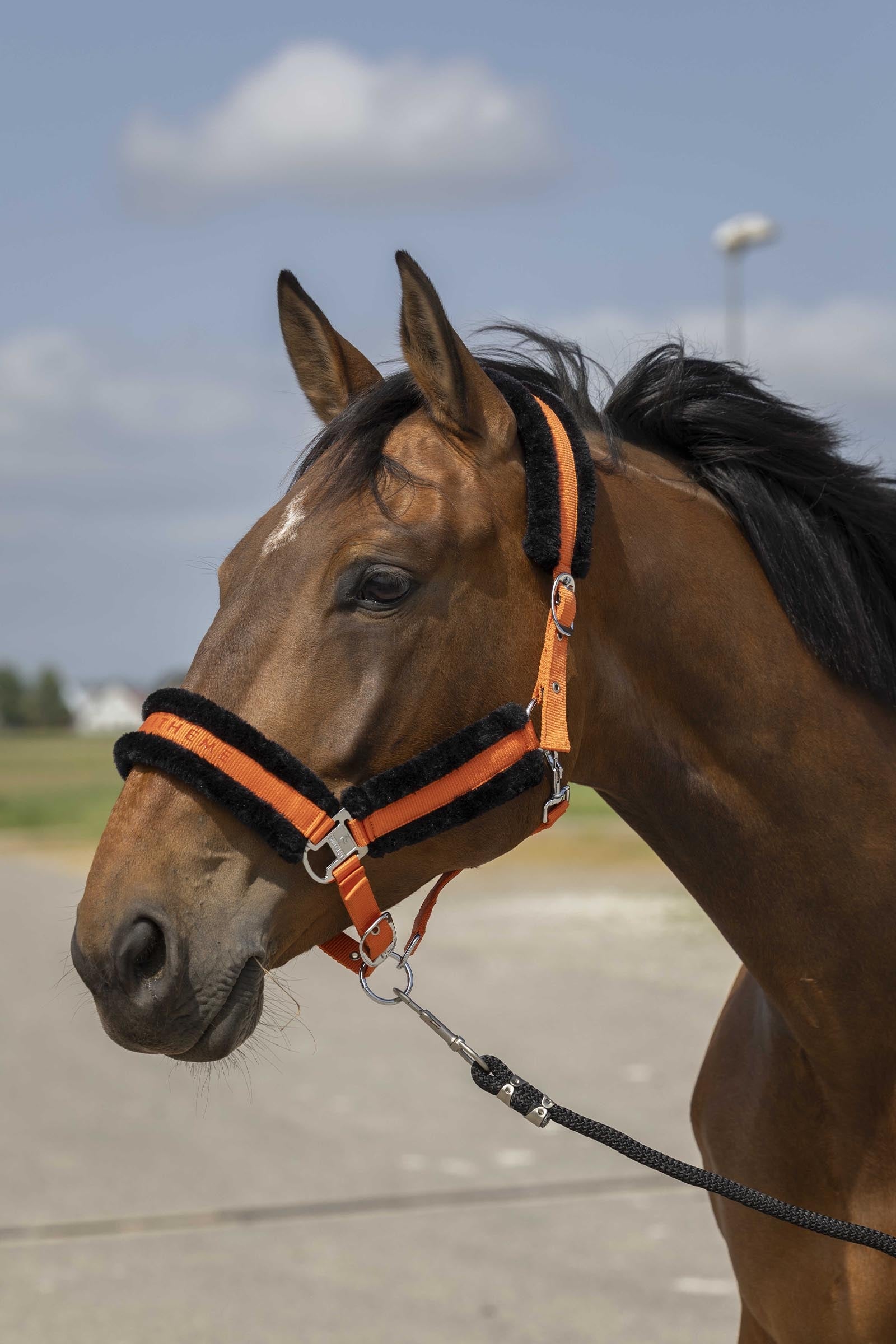 EQUITHÈME Nylon Mouton kötőfék Kötofékek & Vezetoszárak