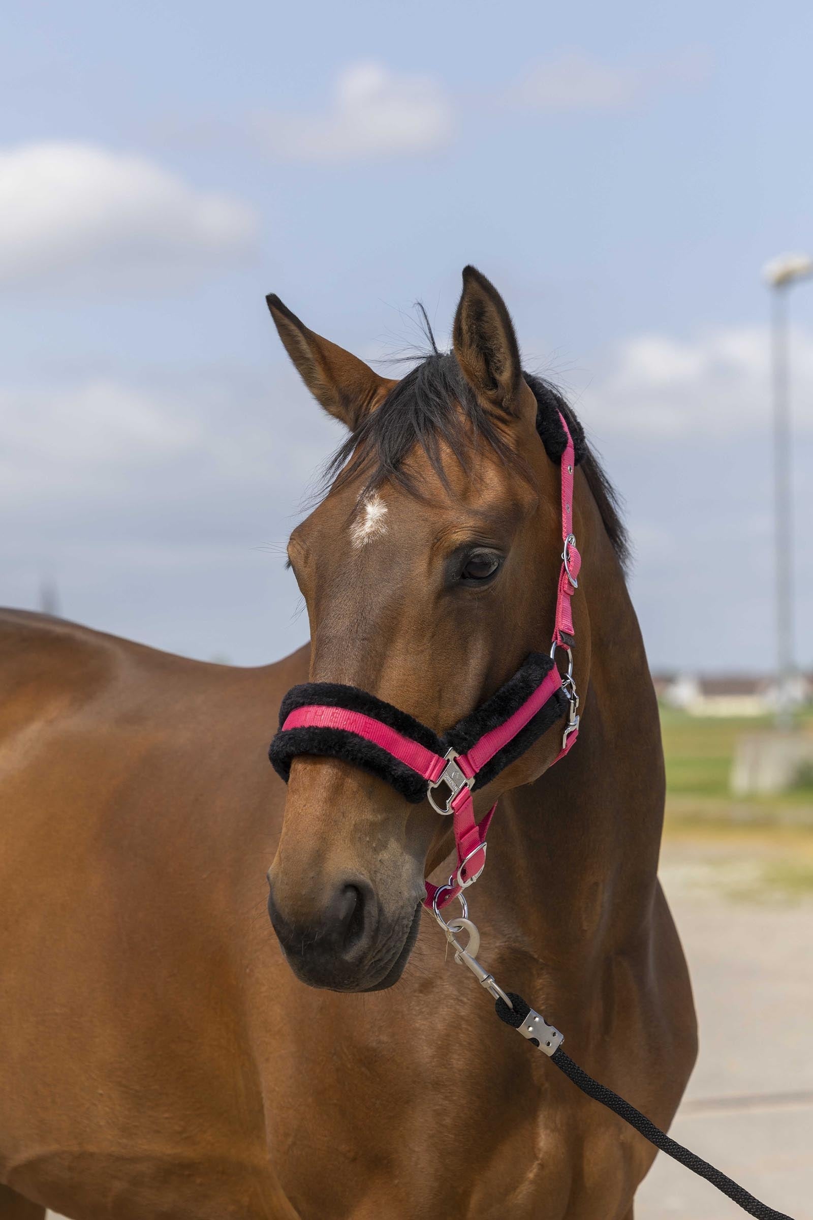 EQUITHÈME Nylon Mouton kötőfék Kötofékek & Vezetoszárak