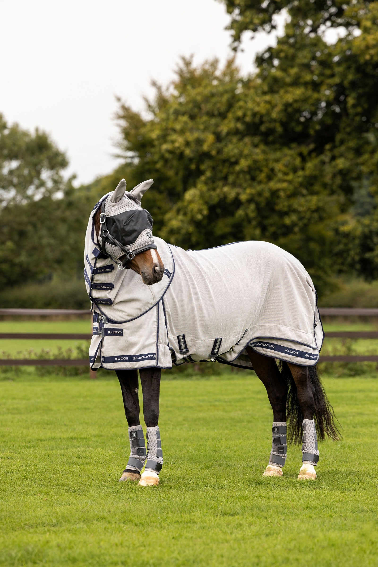 LeMieux Kudos Gladiator légytakaró Lótakarók