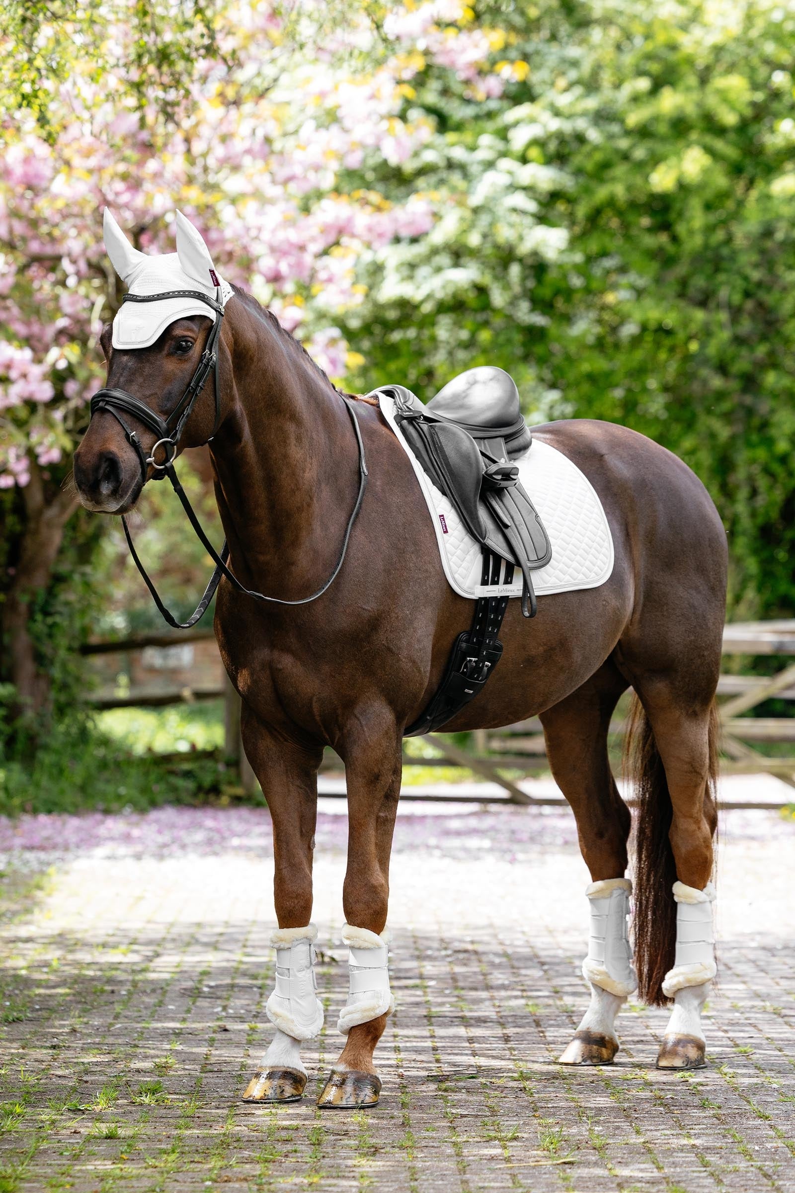 LeMieux Brilliance Dressage Square Saddle Pads