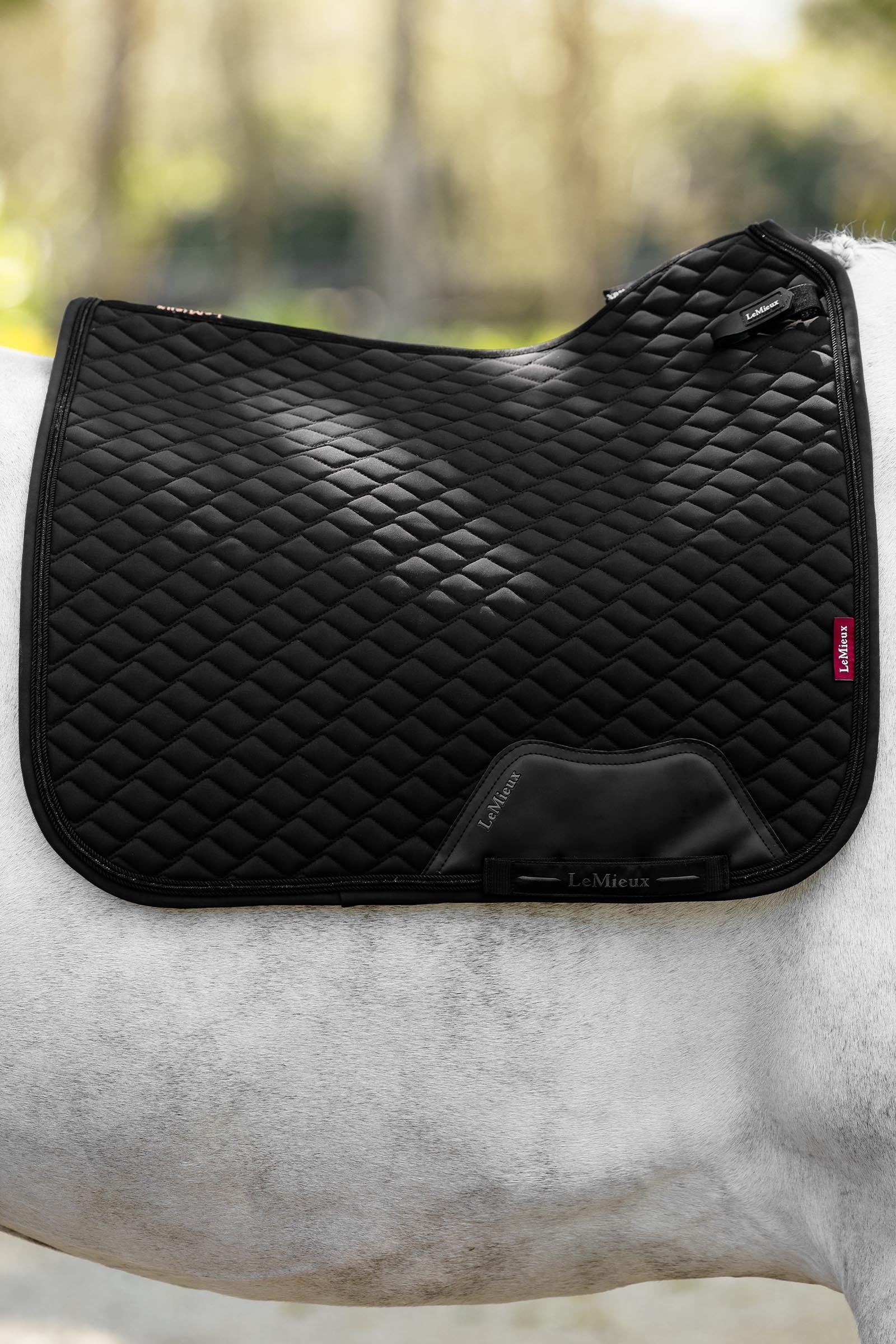 LeMieux Brilliance Dressage Square Saddle Pads