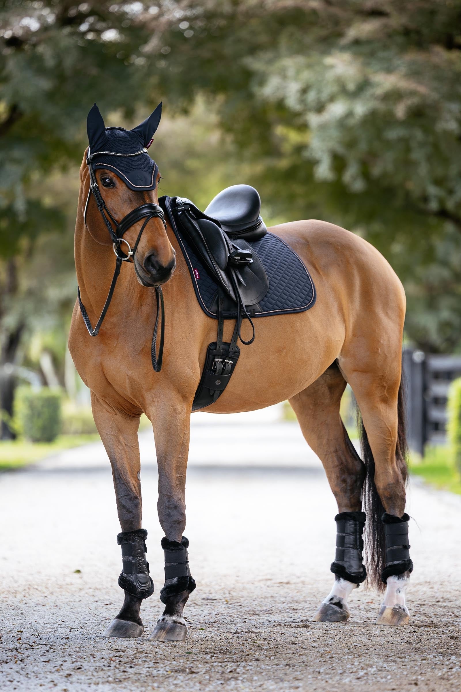 LeMieux Brilliance Dressage Square Saddle Pads