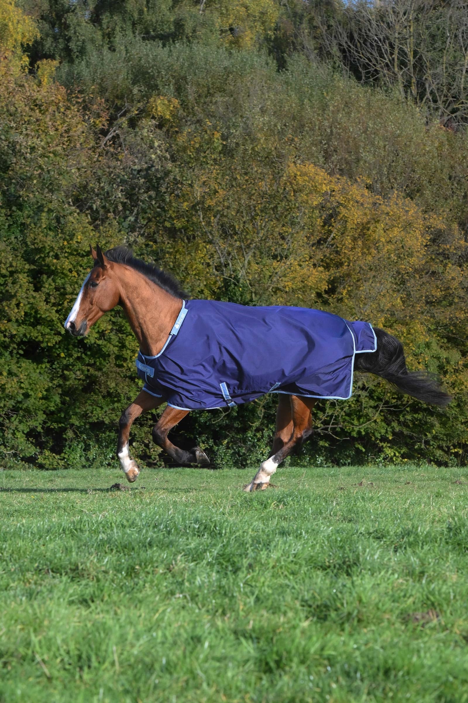 Bucas Atlantic Exclusive Rug & Neck, 150 g Horse Rugs