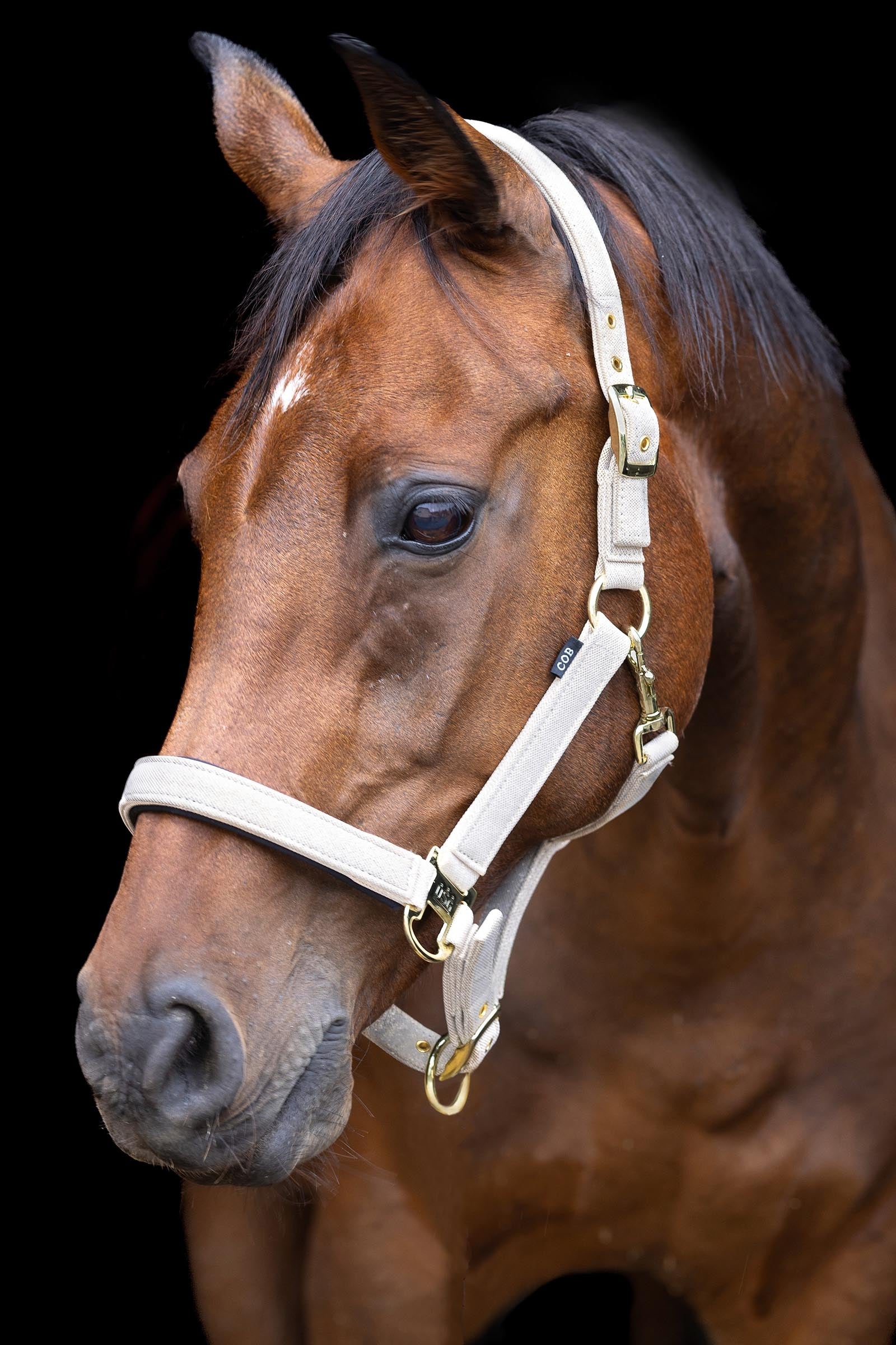 USG Onyx Softly Padded Halter Halters & Leads