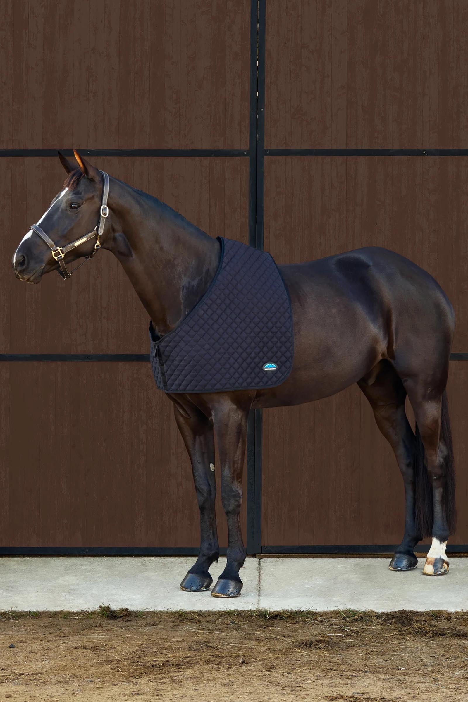 Weatherbeeta Deluxe Shoulder Guard Horse Rugs