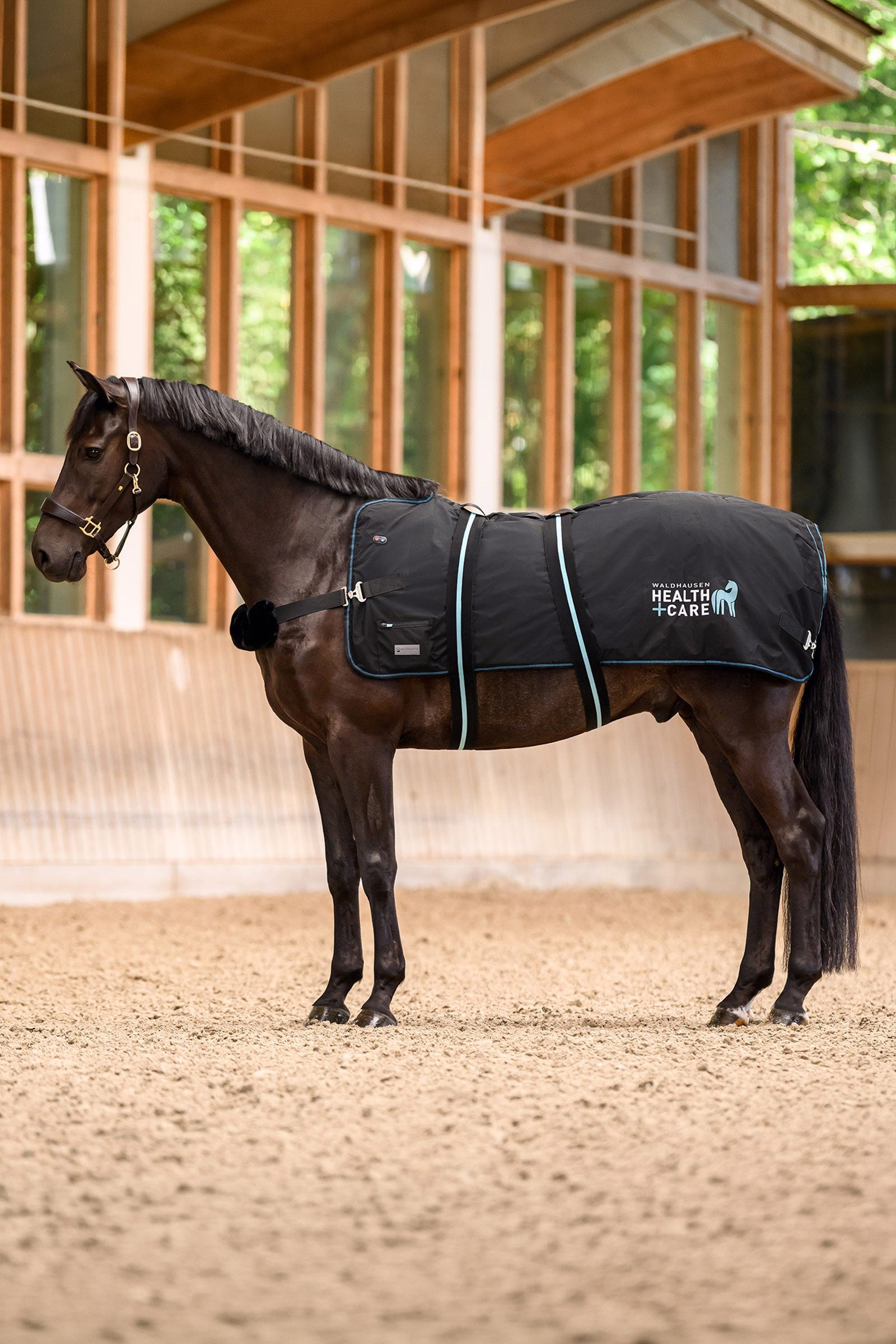 Waldhausen Health + Care Tec Supreme Heating & Massage Rug Horse Rugs