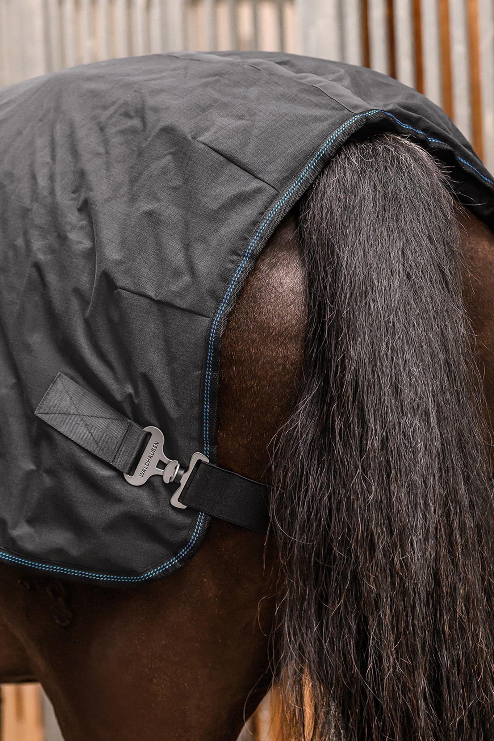 Waldhausen Health + Care Tec Supreme Heating & Massage Rug Horse Rugs