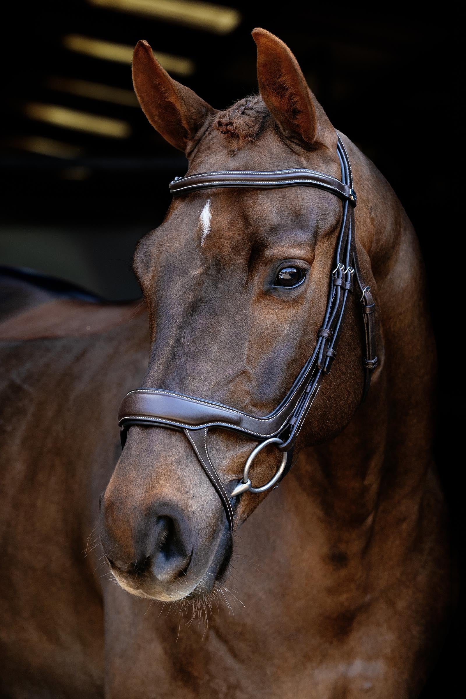 LeMieux Arika Split Noseband Bridle Bridles & Reins