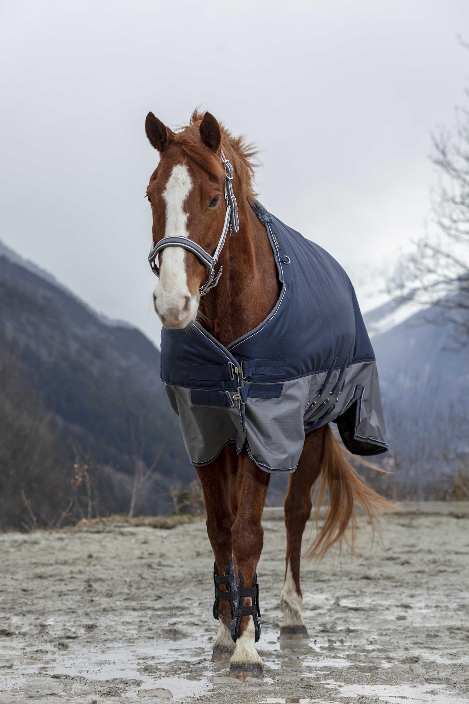 Equi Theme EQUITHÈME TYREX 600D Turnout Rug With Belly Flap, 300 g Horse Rugs