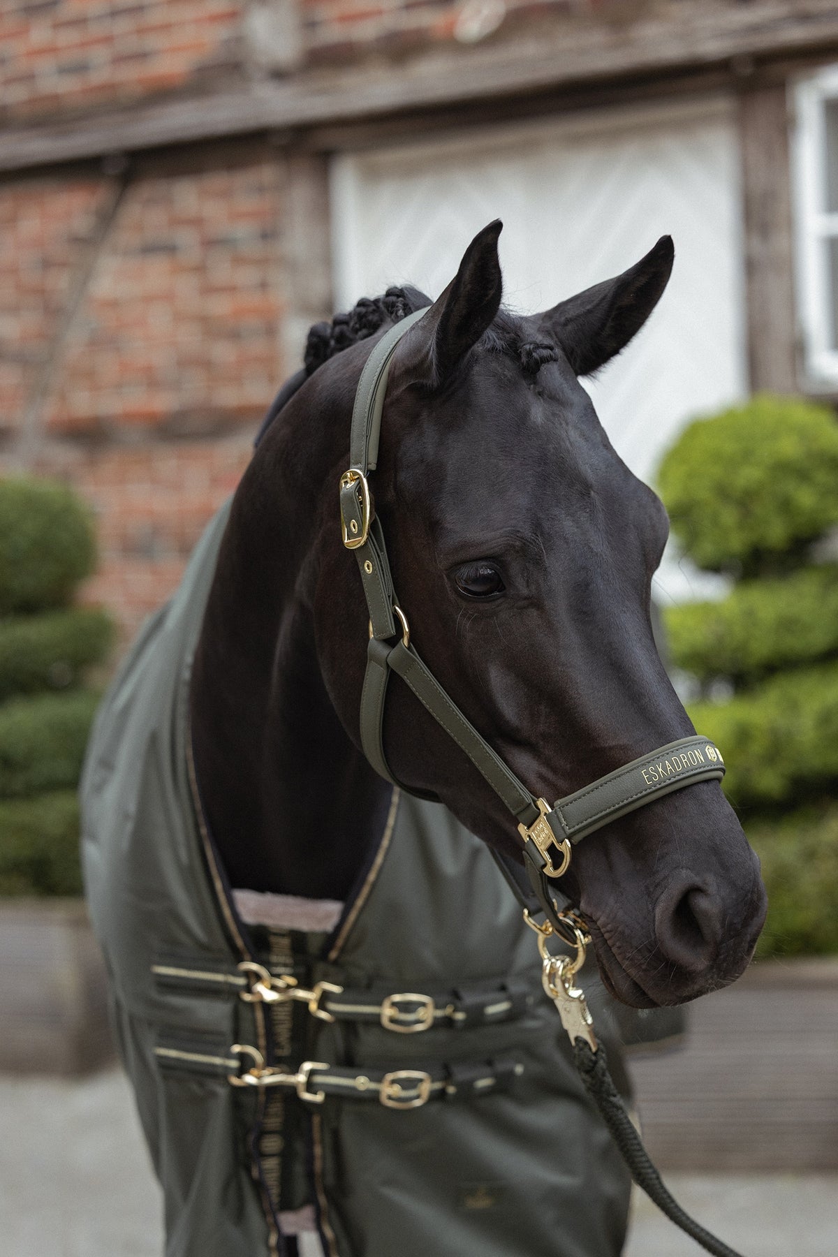 Eskadron Heritage 26/27 Faux Leather Double PIN Headcollar Halters & Leads