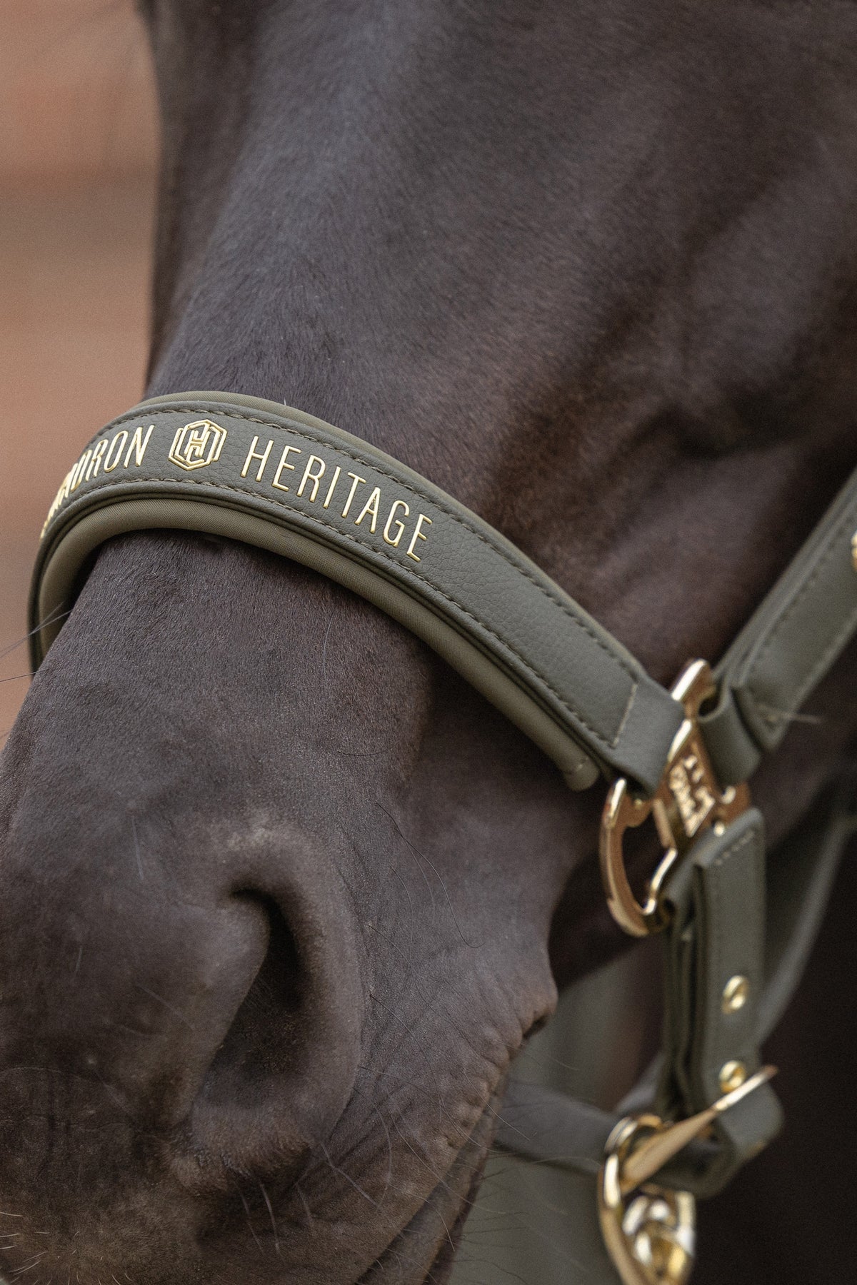 Eskadron Heritage 26/27 Faux Leather Double PIN Headcollar Halters & Leads