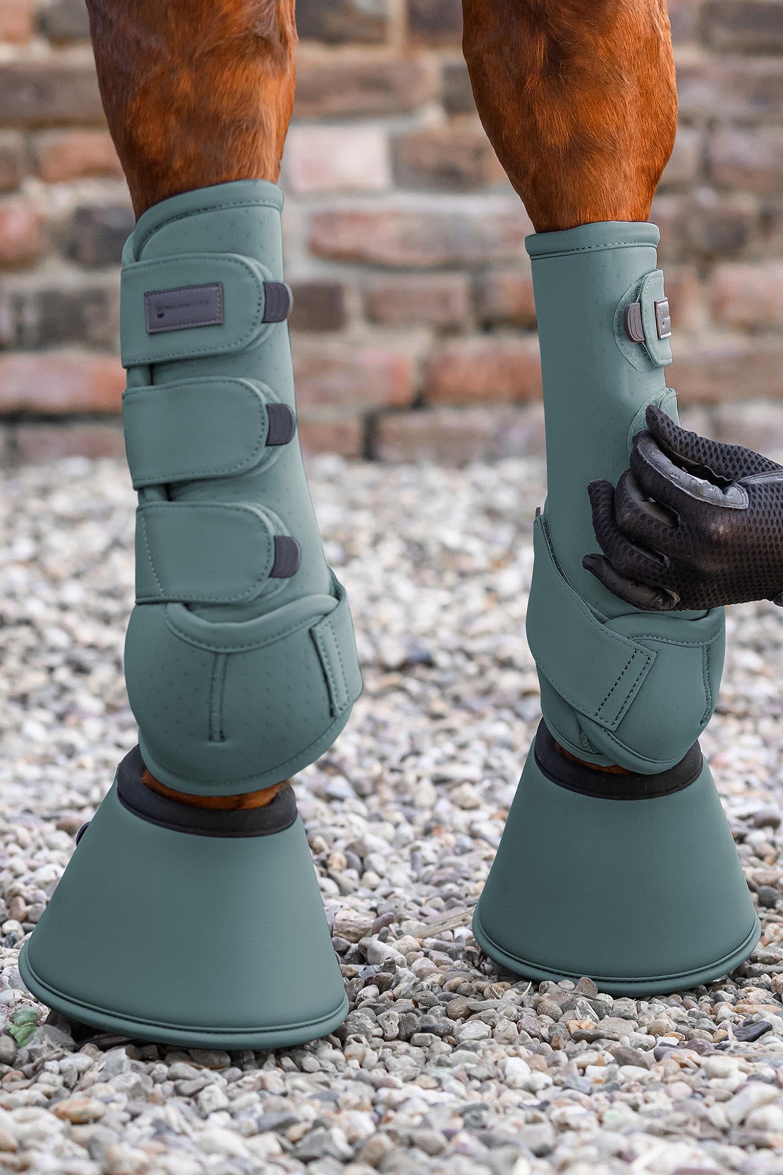 Waldhausen Performance Bell Boots Leg Protection & Hoof Protection for Horses