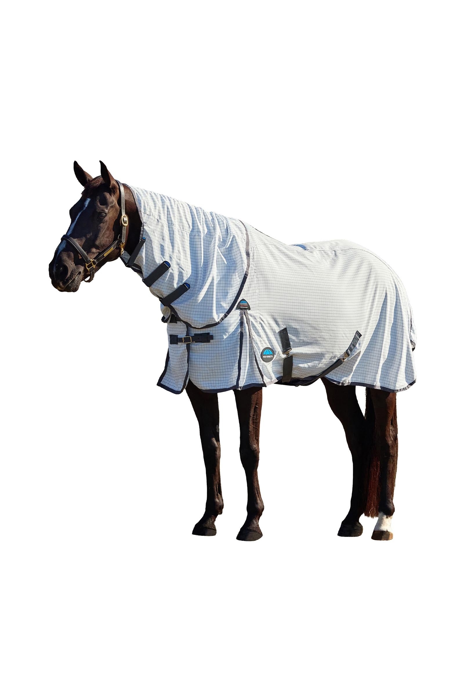 Weatherbeeta Hybrid Sheet Combo W. Fixed Neck, 0g Horse Rugs