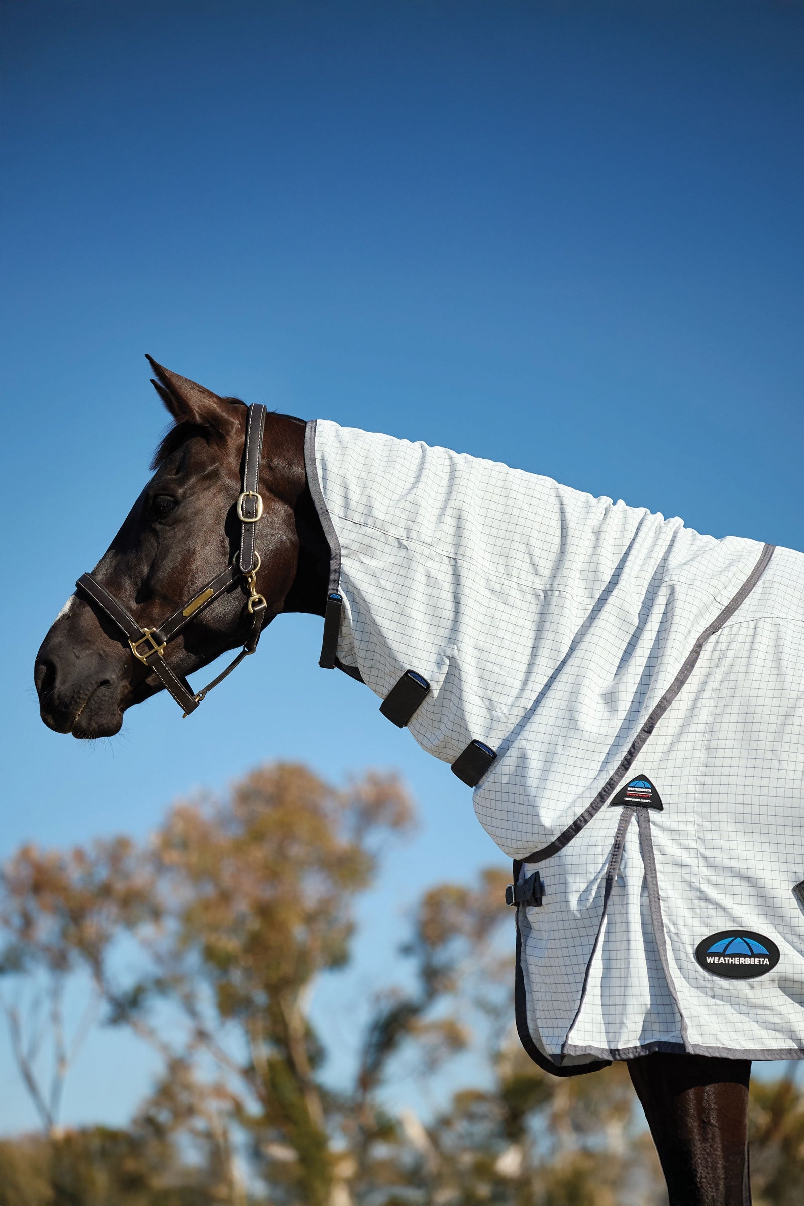 Weatherbeeta Hybrid Sheet Combo W. Fixed Neck, 0g Horse Rugs