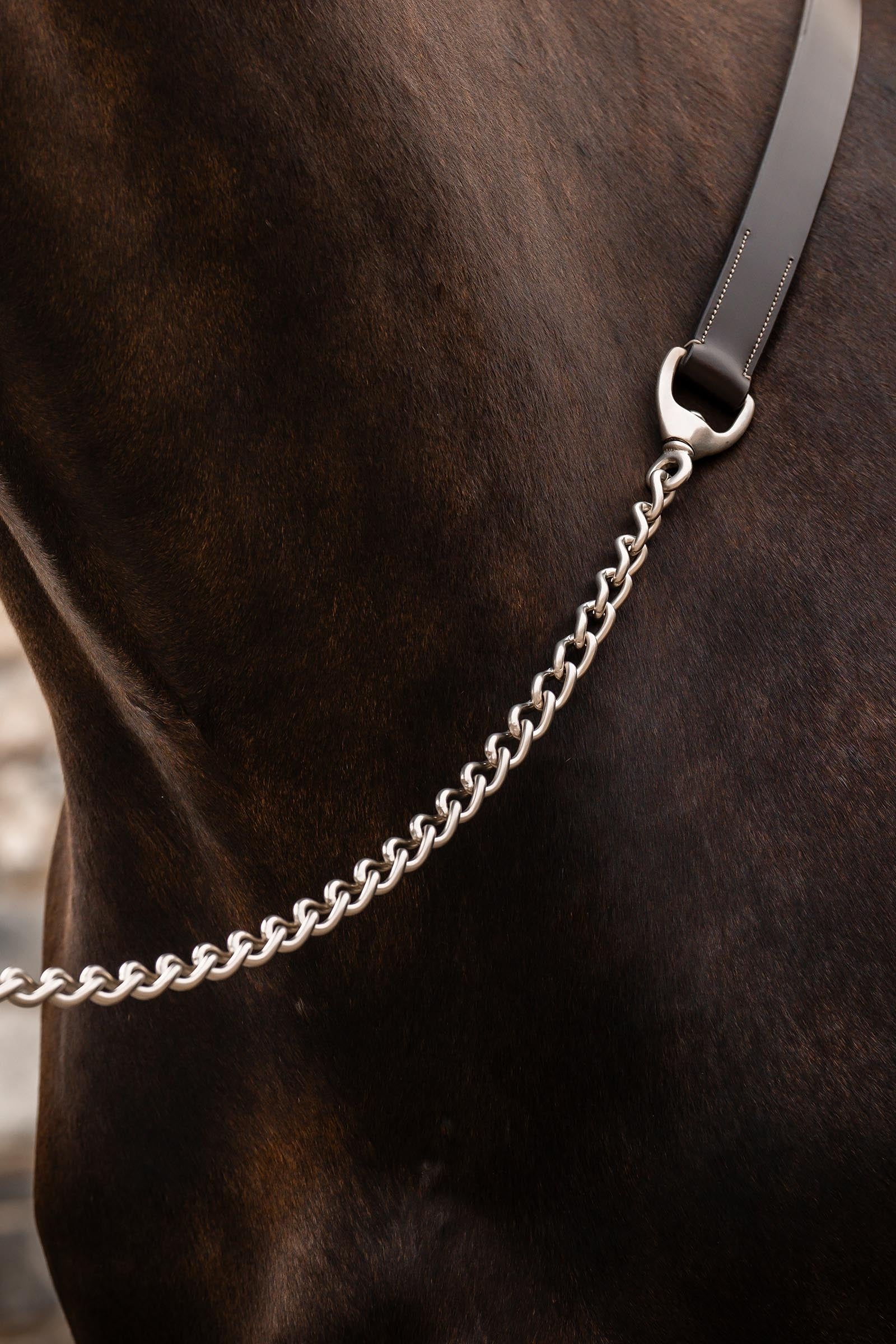 Horseware Signature Lead with Chain Halters & Leads