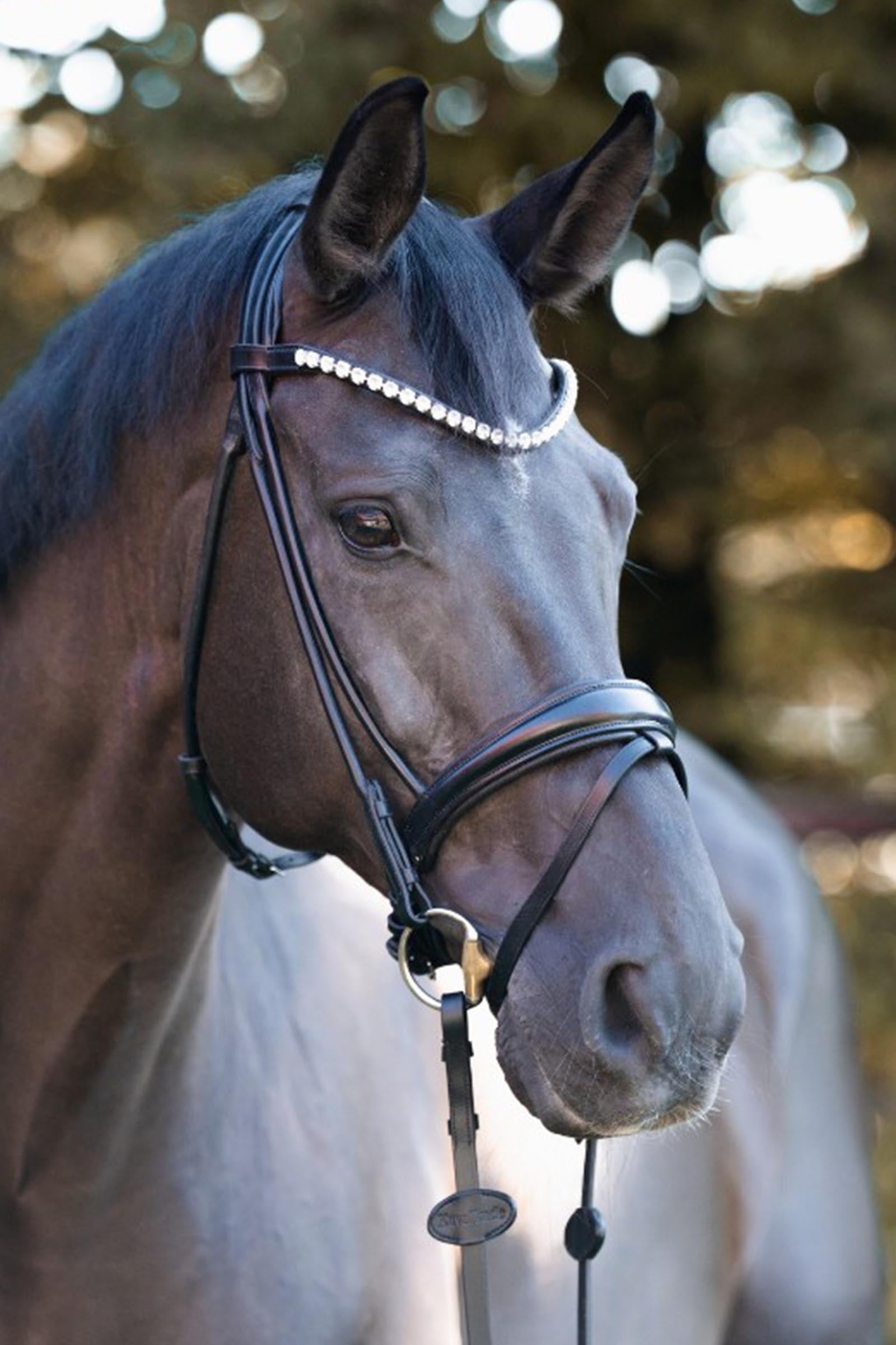 Kavalkade Florentine Bridle With Crank Noseband Bridles & Reins
