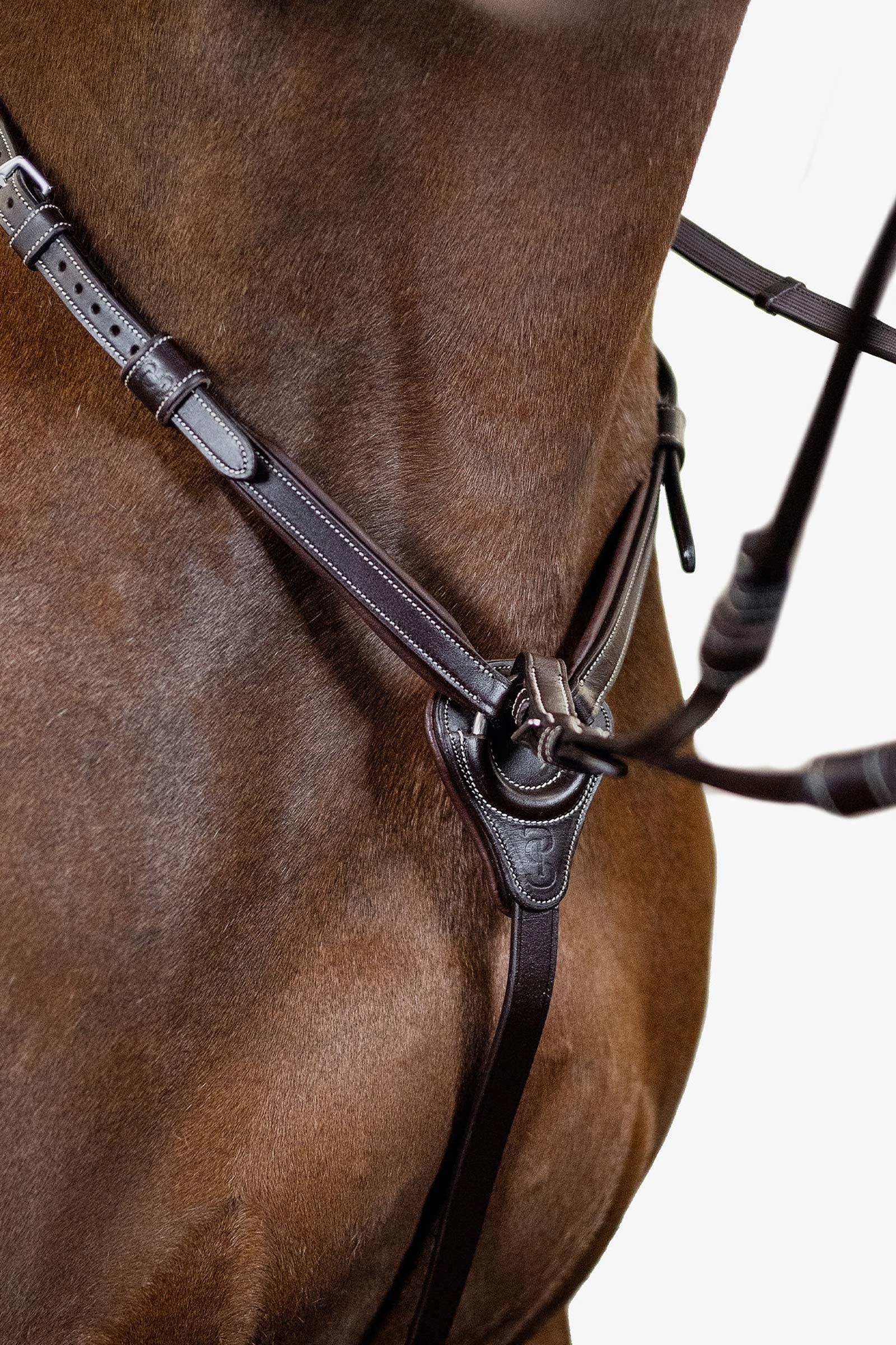 PS of Sweden Seoul Martingale Bridles & Reins