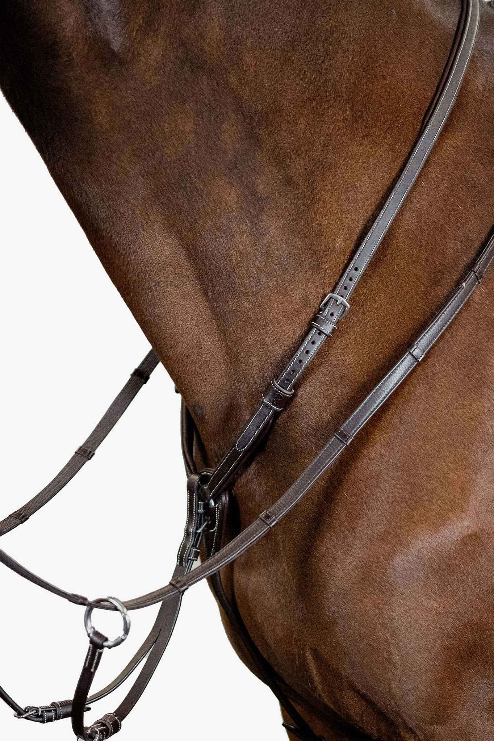 PS of Sweden Seoul Martingale Bridles & Reins