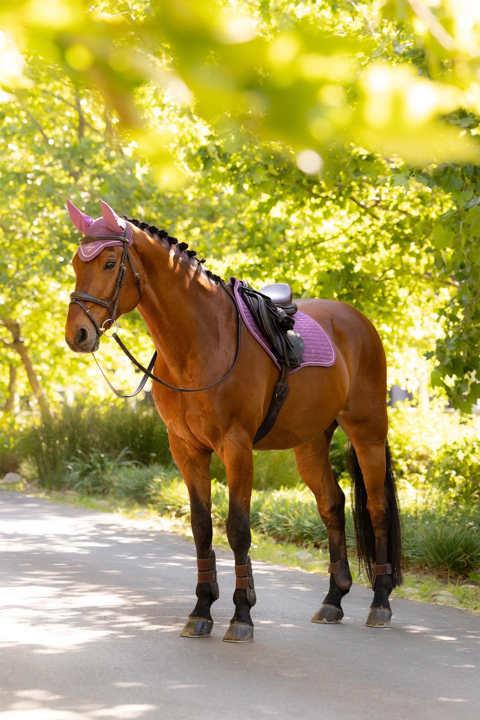 LeMieux Suede Close Contact Saddle Pad Saddle Pads
