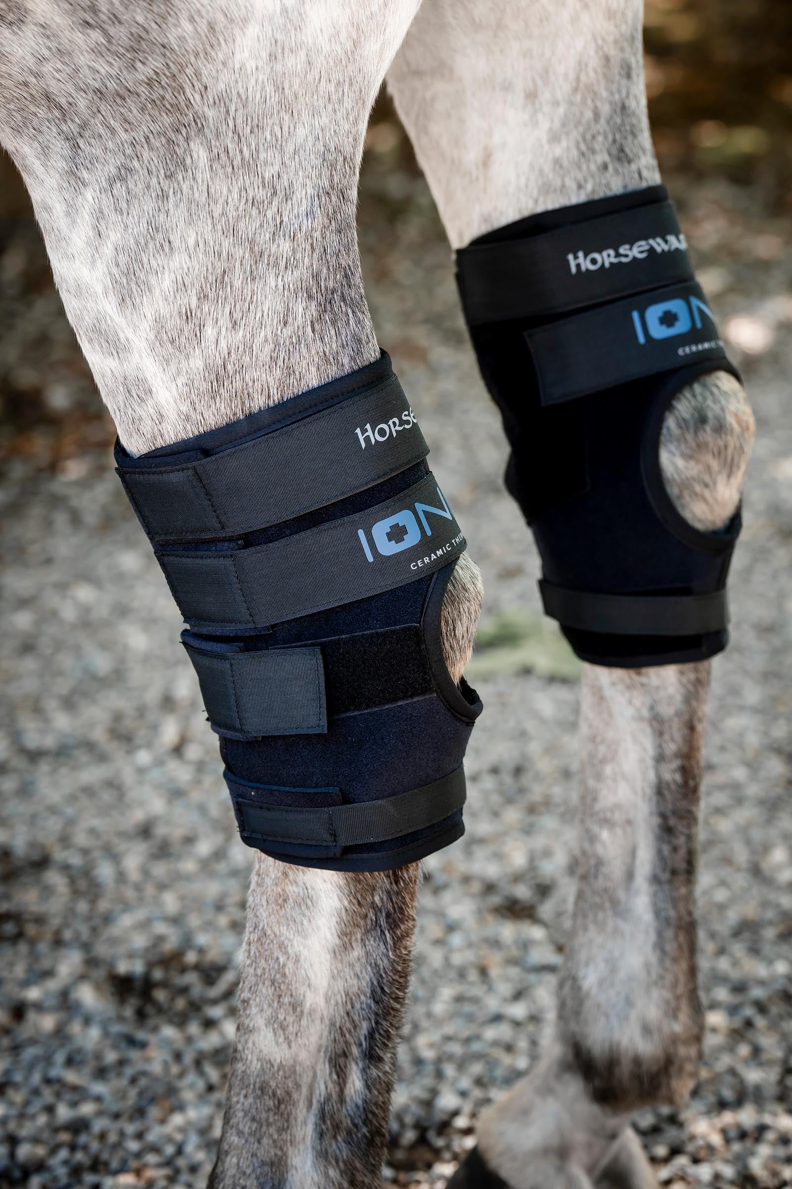 Horseware Ionic Hock Boots - set of 2 Leg & Hoof Protection