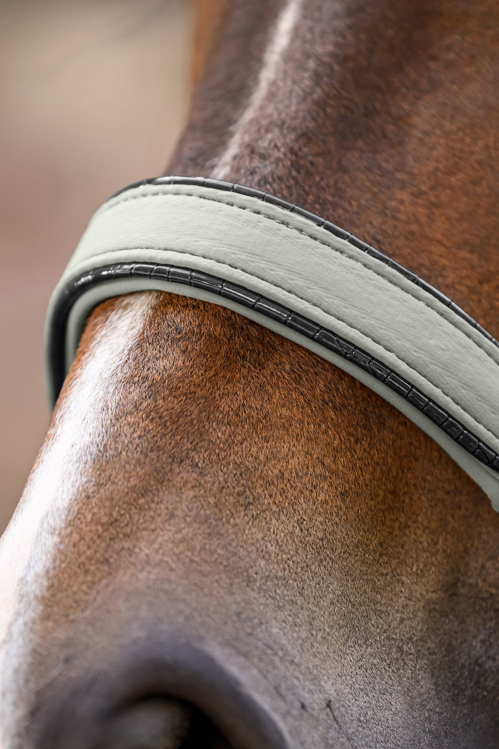 Waldhausen Ubud Halter Set Halters & Leads