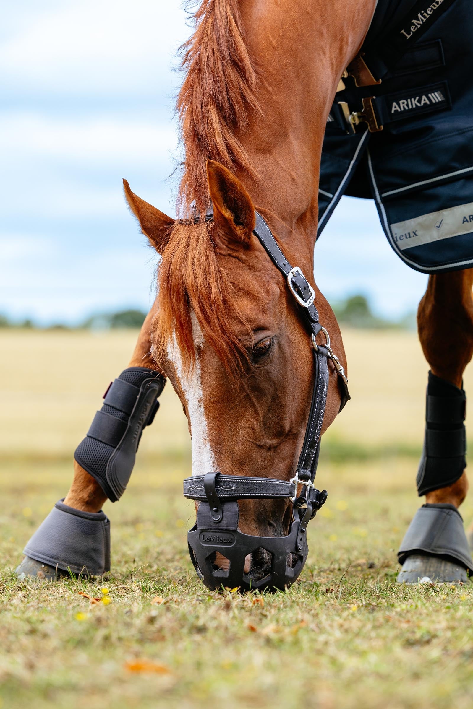 LeMieux Noma Grazing Muzzle Halters & Leads