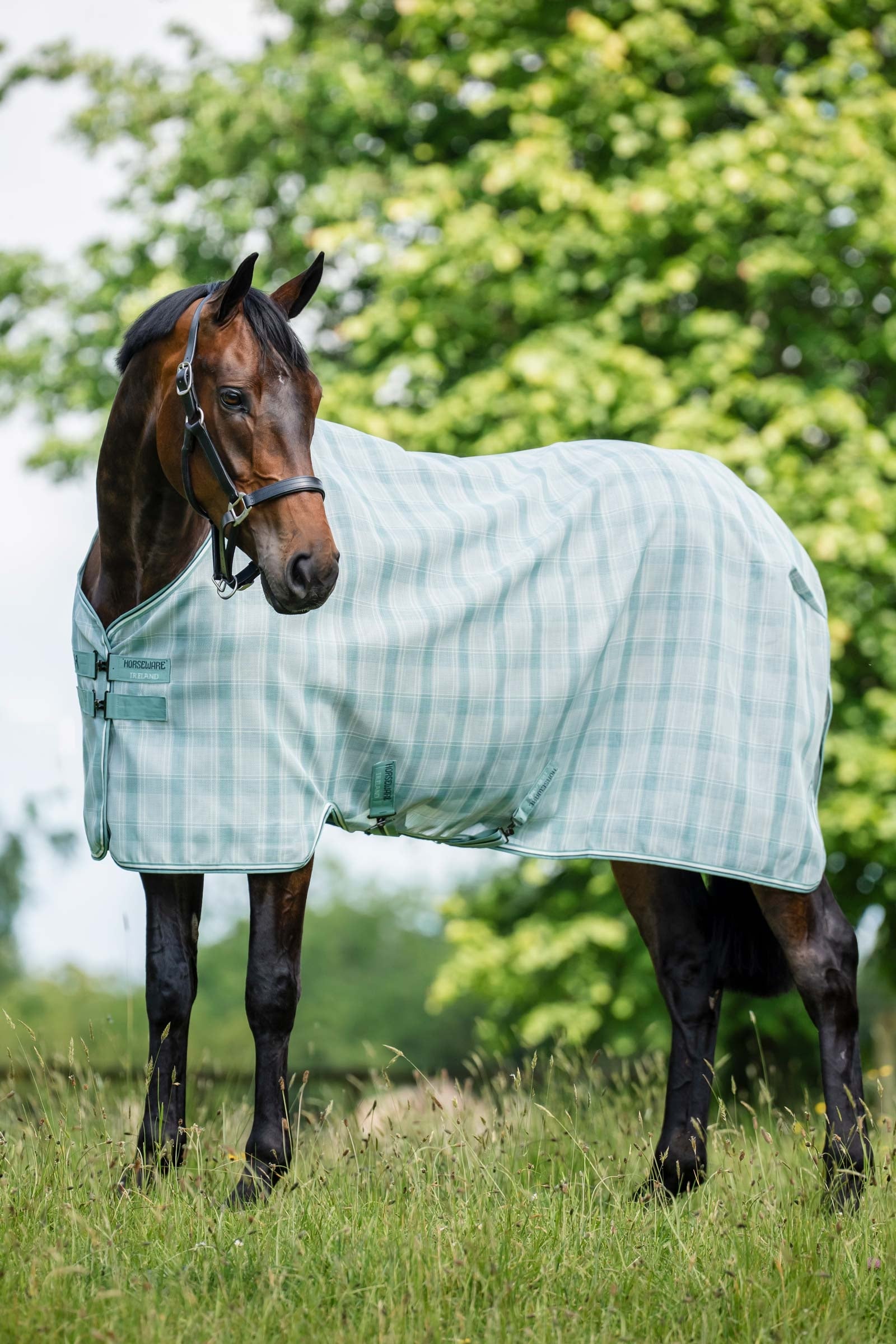 Horseware Newmarket légyvédő takaró UV-védelemmel Lótakarók