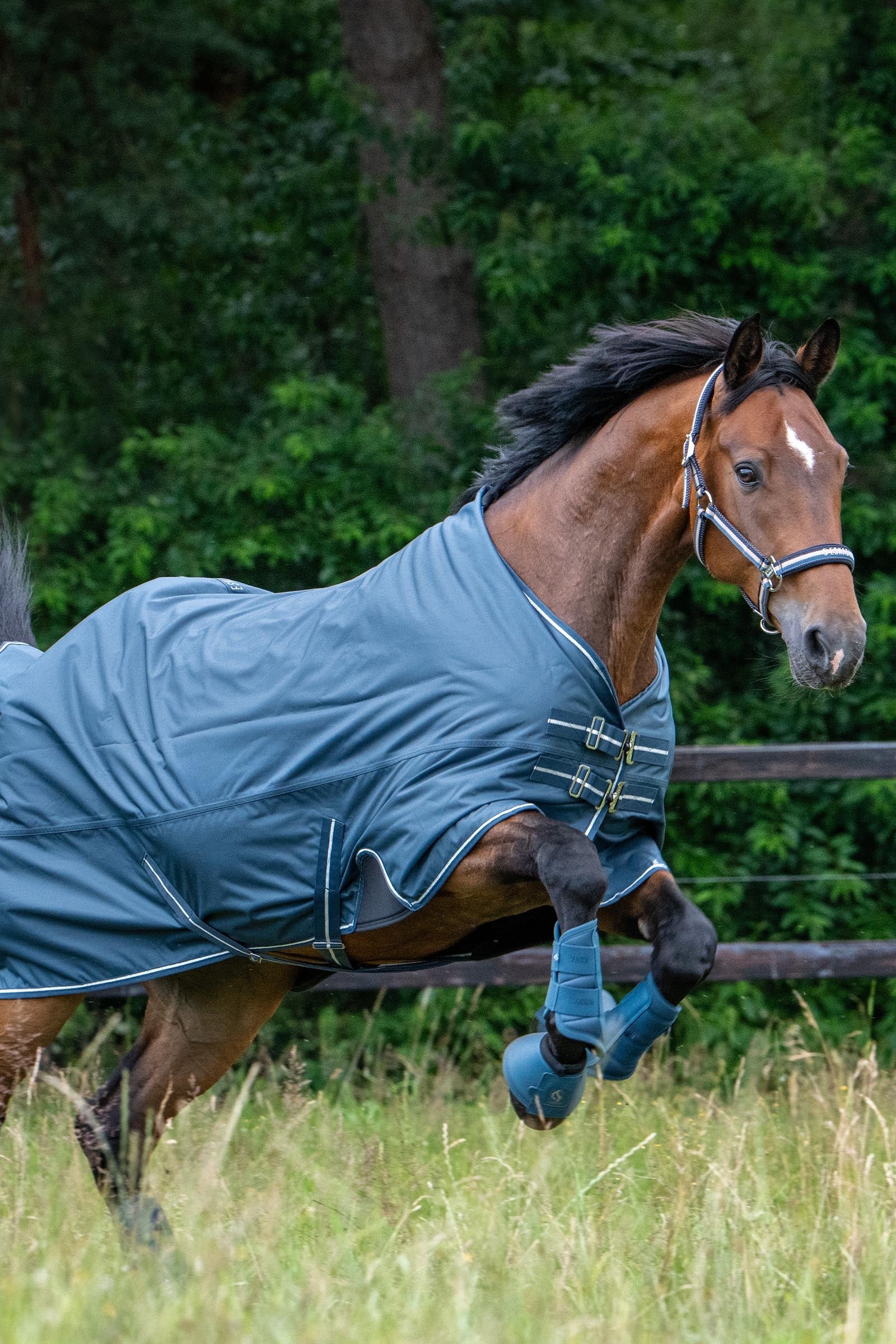 Eskadron Classic Sport SS26 Waterproof Light Turnout Rug, 0g Horse Rugs